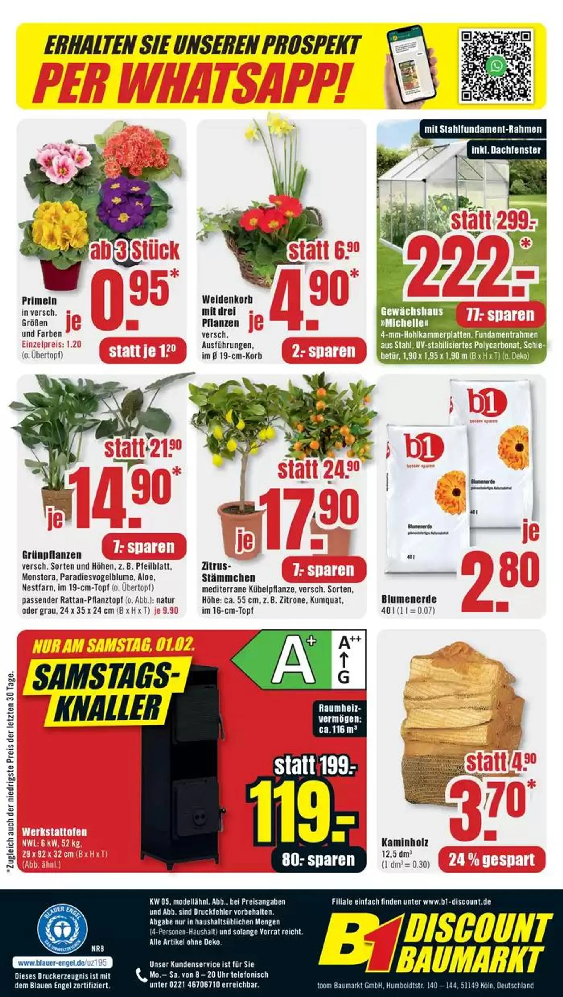 B1 Discount Baumarkt flugblatt von 25. Januar bis 8. Februar 2025 - Prospekt seite 6