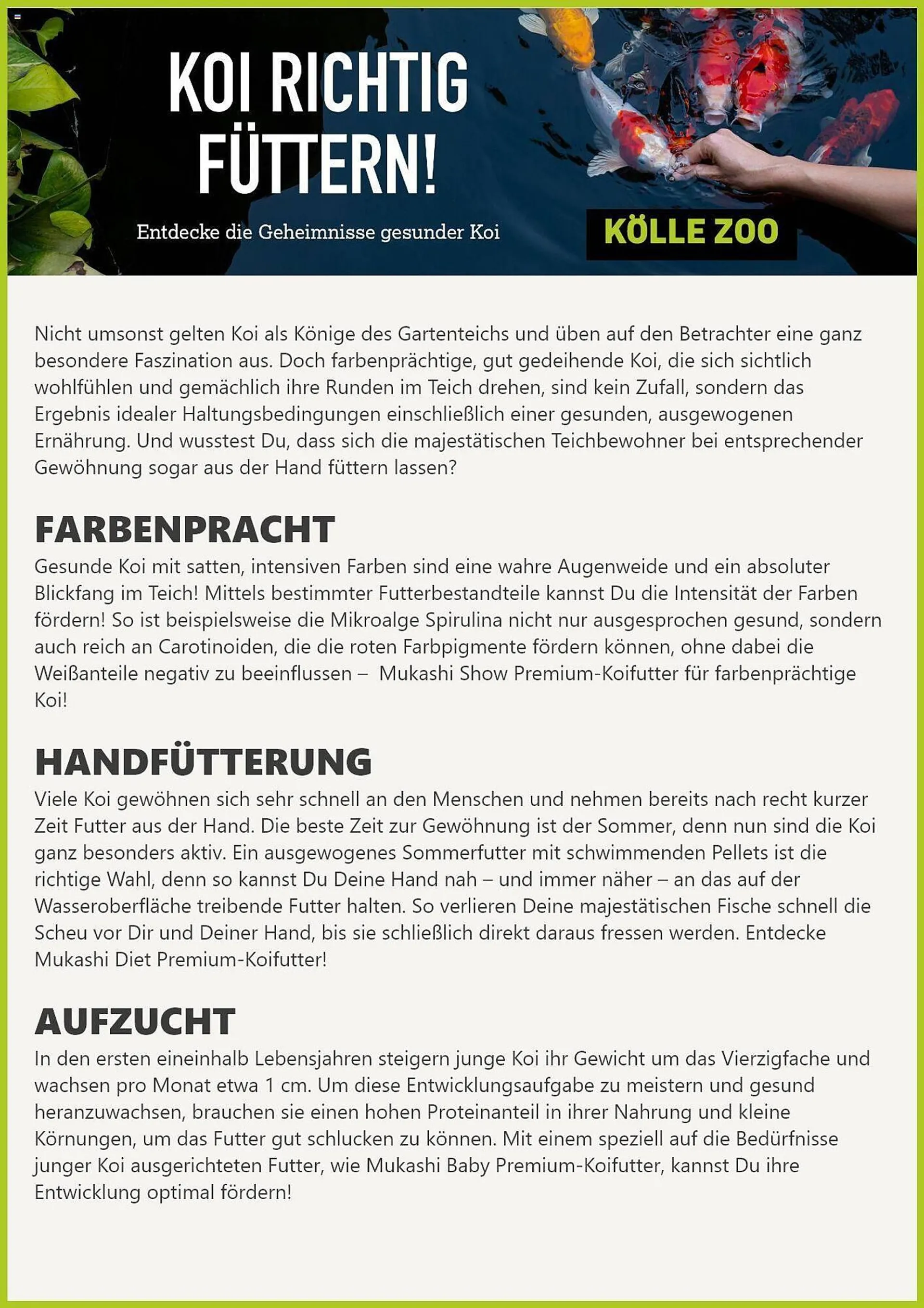 Kölle Zoo Prospekt von 4. Oktober bis 4. November 2024 - Prospekt seite 3