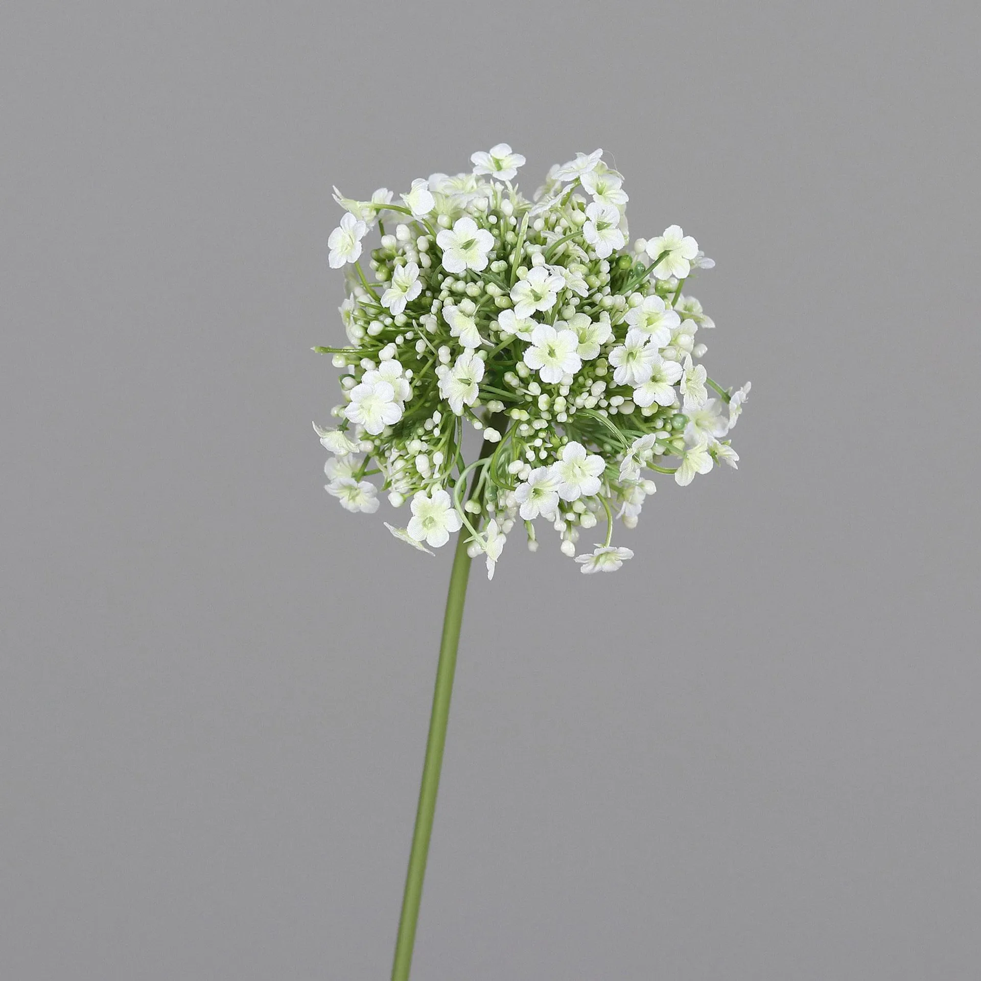 DPI Allium 46cm