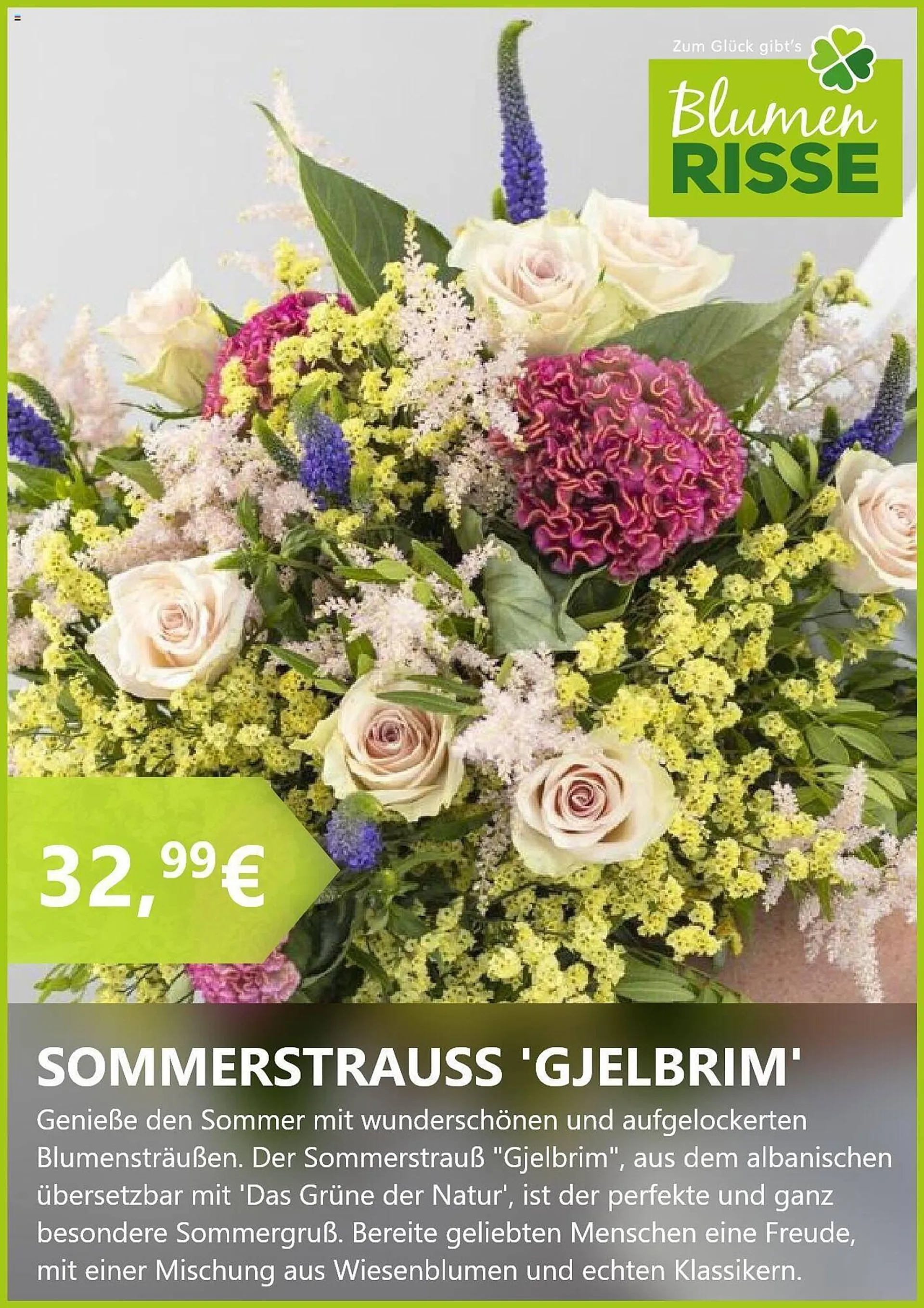 Blumen Risse Prospekt von 22. Juli bis 19. August 2024 - Prospekt seite 5