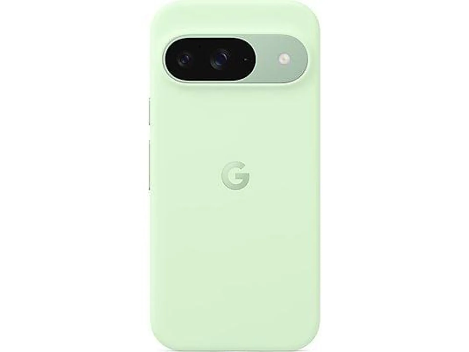 GOOGLE Case, Backcover, Google, Pixel 9 / Pixel 9 Pro, Wintergreen