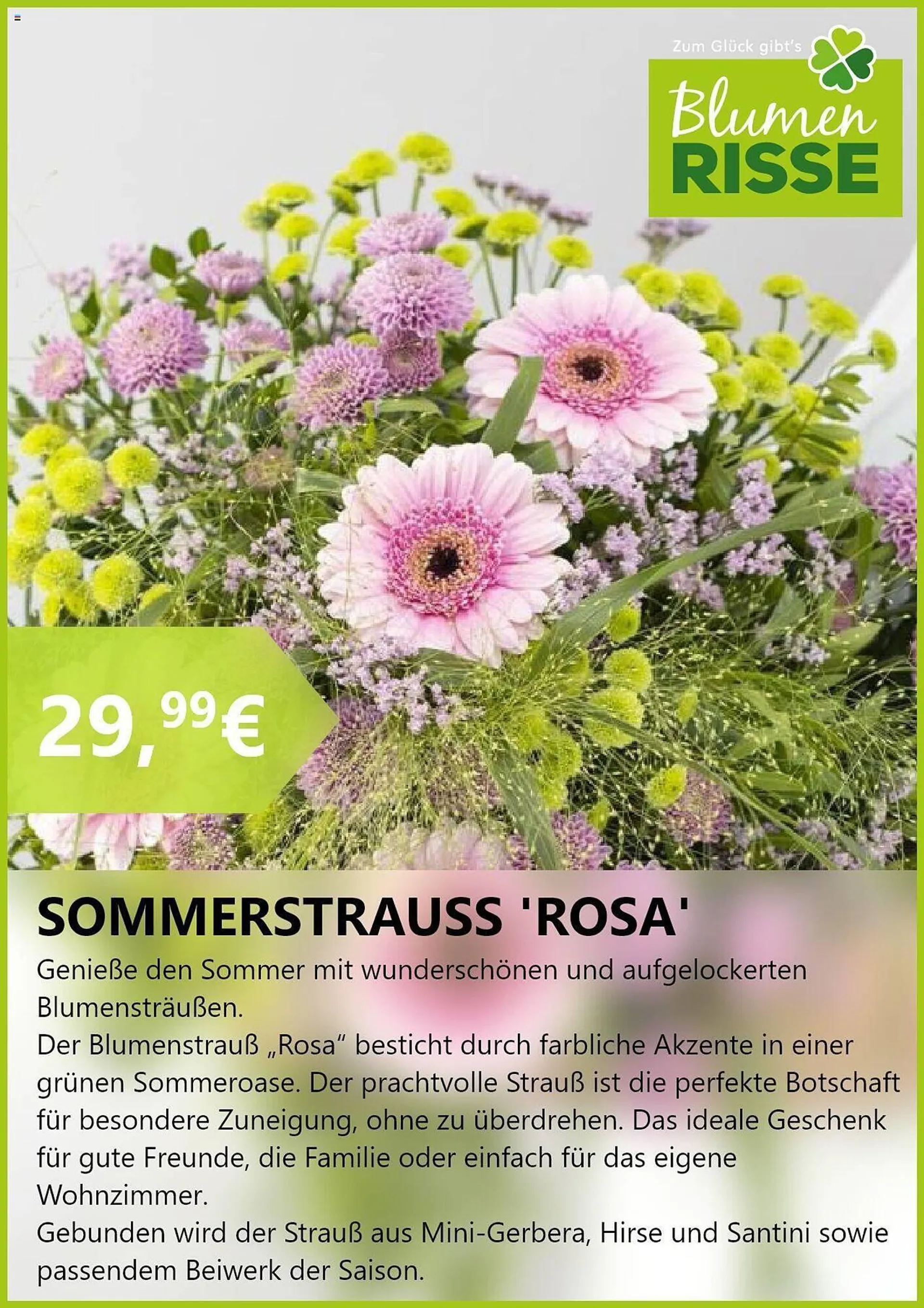 Blumen Risse Prospekt von 22. Juli bis 19. August 2024 - Prospekt seite 6