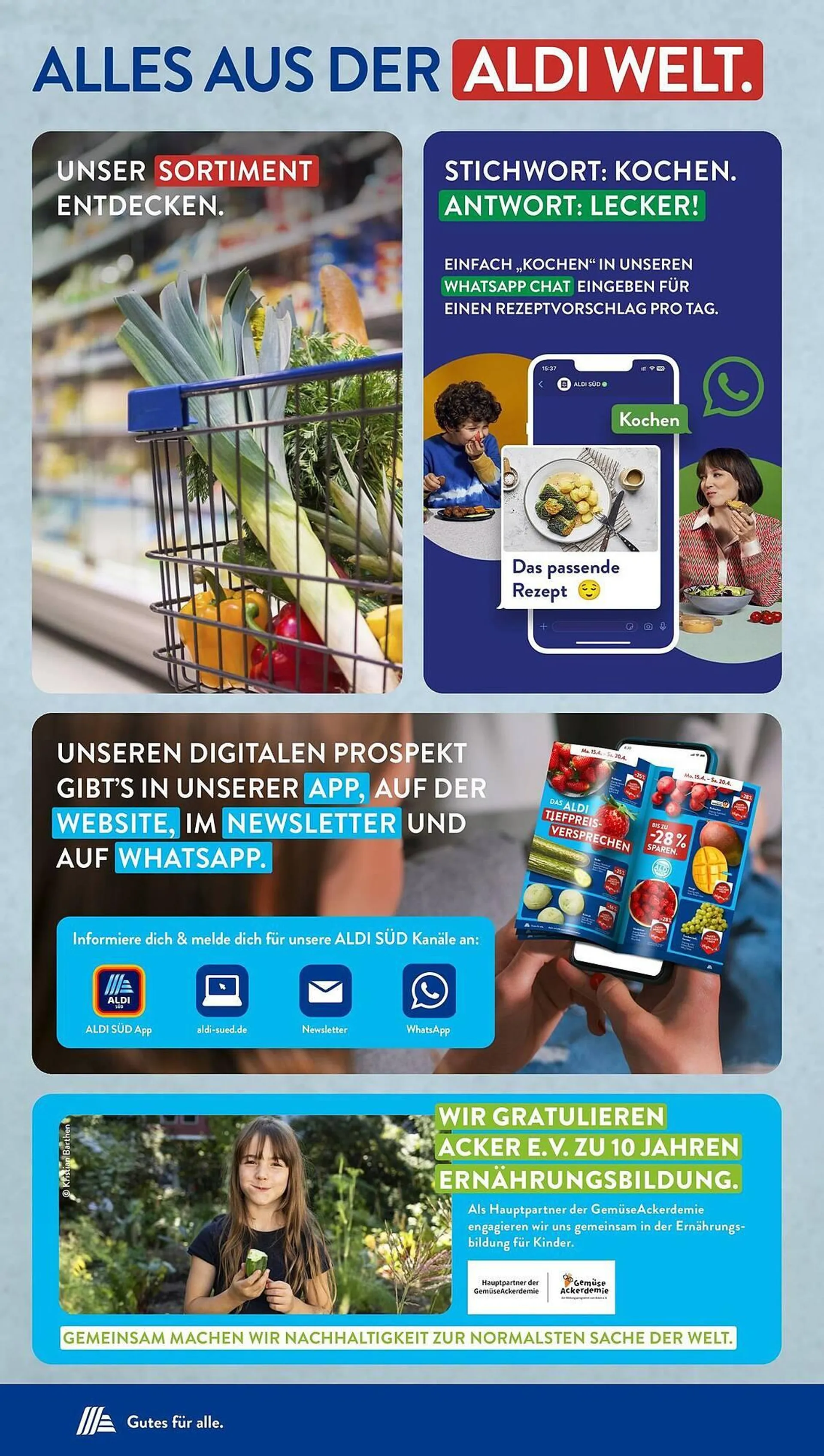 Aldi Süd Prospekt - 33