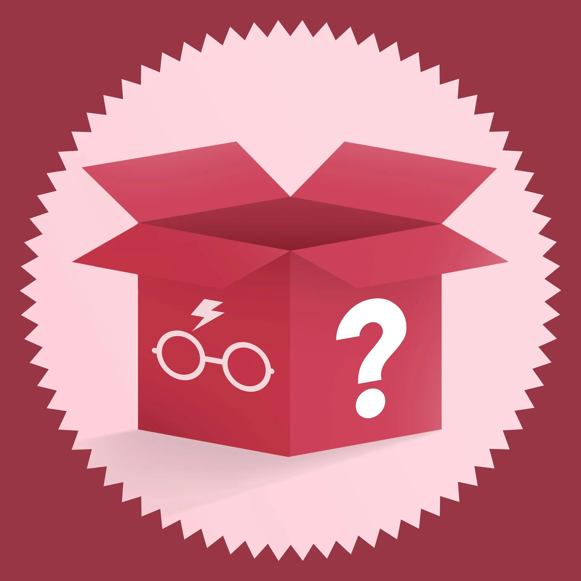 Überraschungsbox für Harry Potter Fans