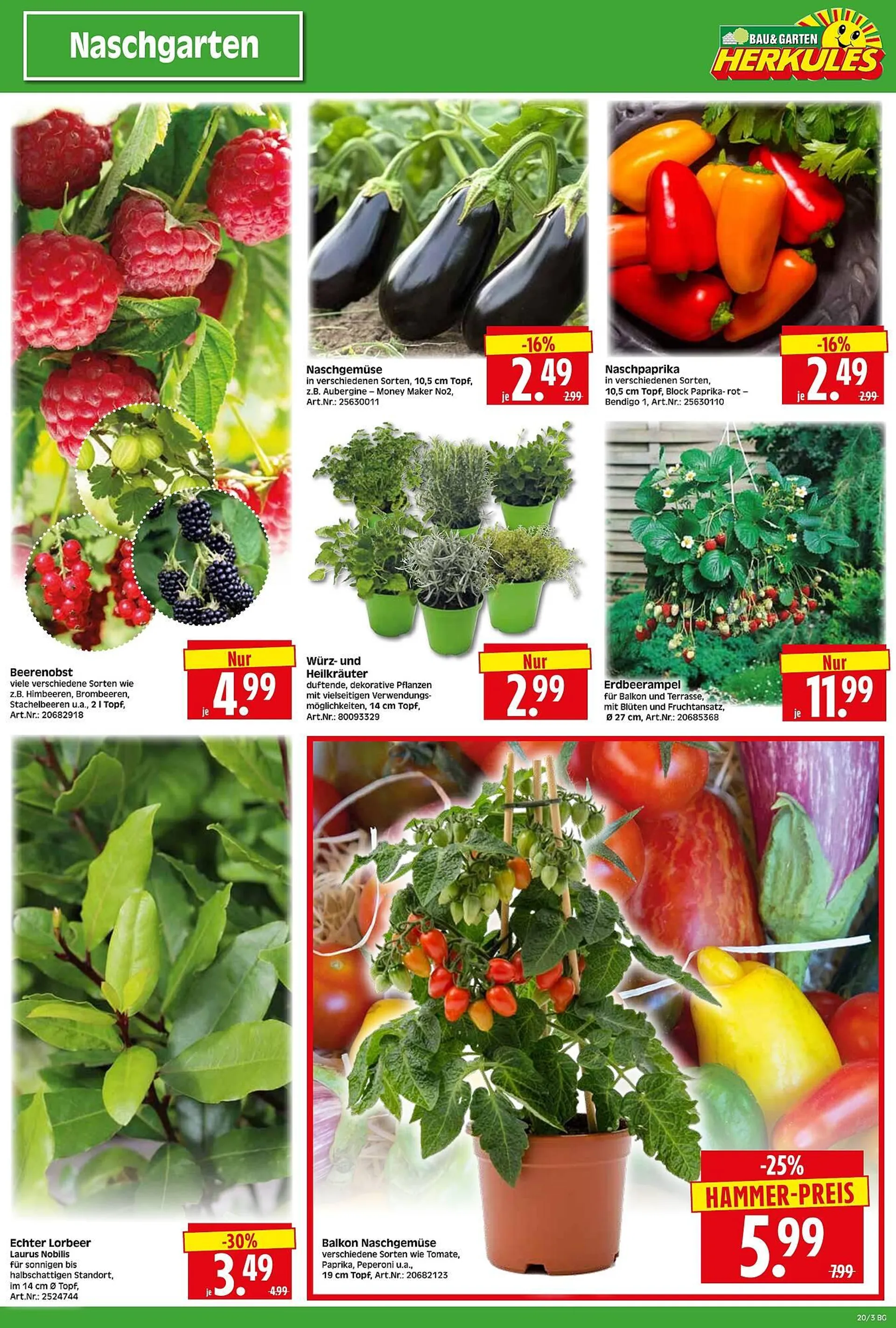 Herkules Baumarkt Prospekt von 12. Mai bis 19. Mai 2025 - Prospekt seite 3
