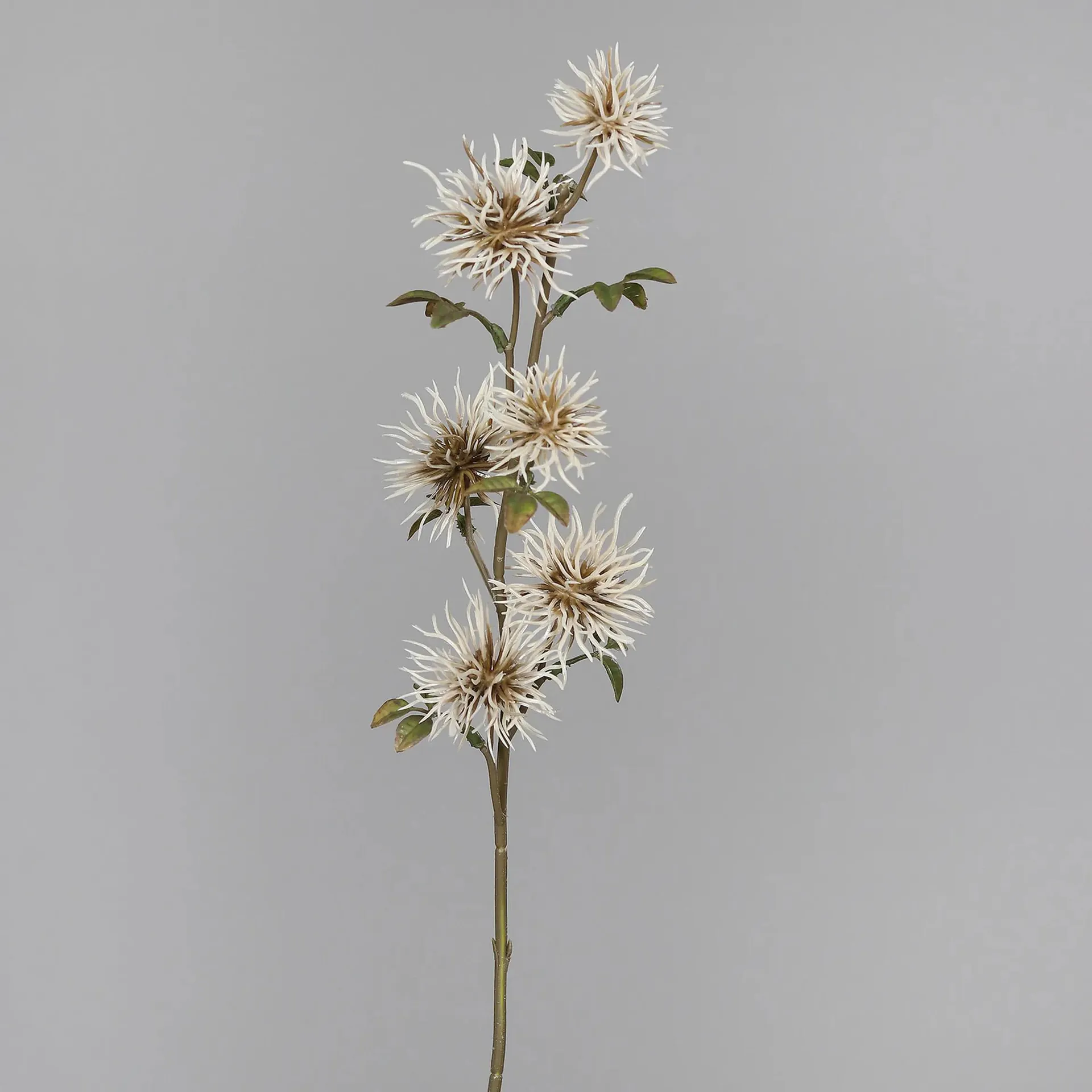 Hamamelis Pick - creme - Kunstblume - 51 cm