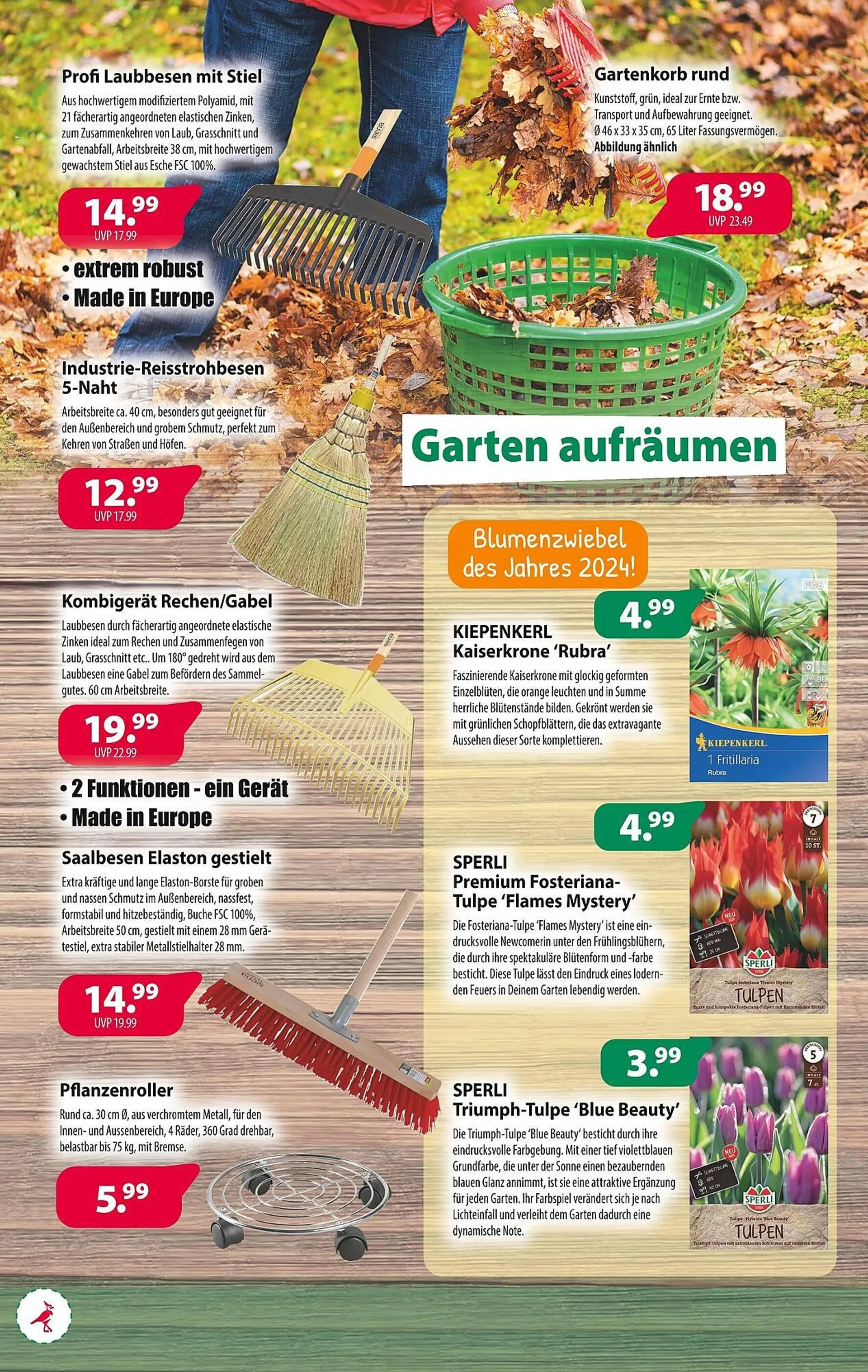 Kiebitzmarkt Prospekt von 2. Oktober bis 12. Oktober 2024 - Prospekt seite 2