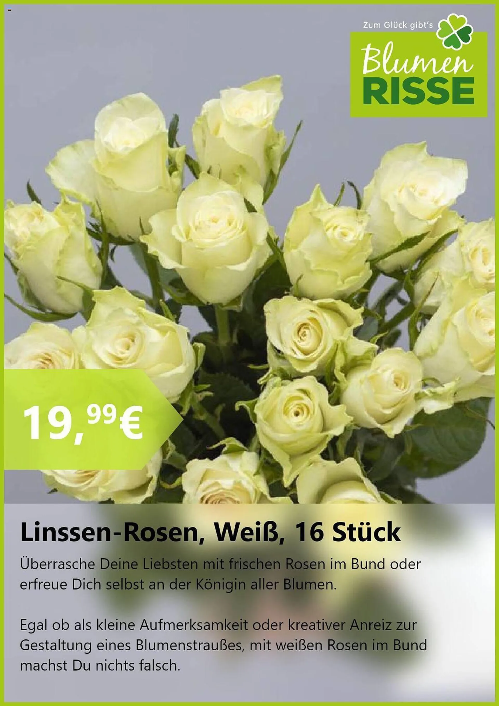 Blumen Risse Prospekt von 20. August bis 17. September 2024 - Prospekt seite 7