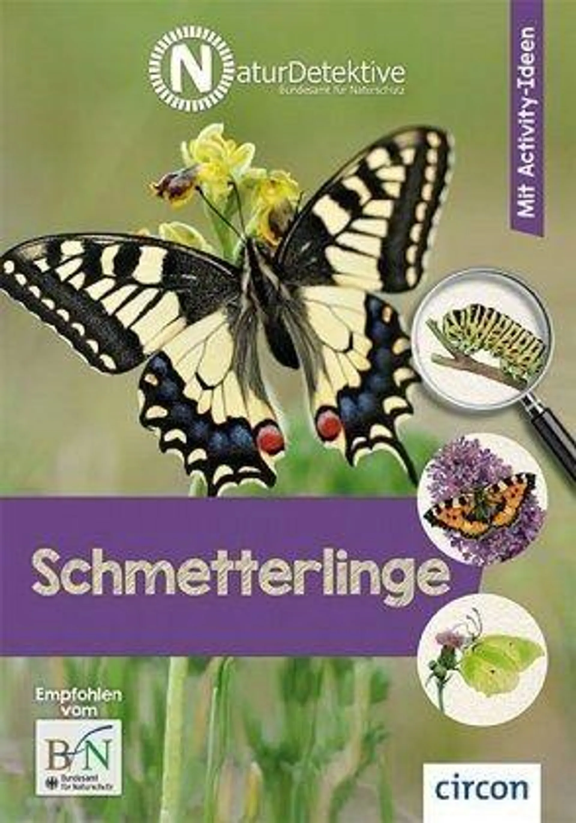 NaturDetektive: Schmetterlinge