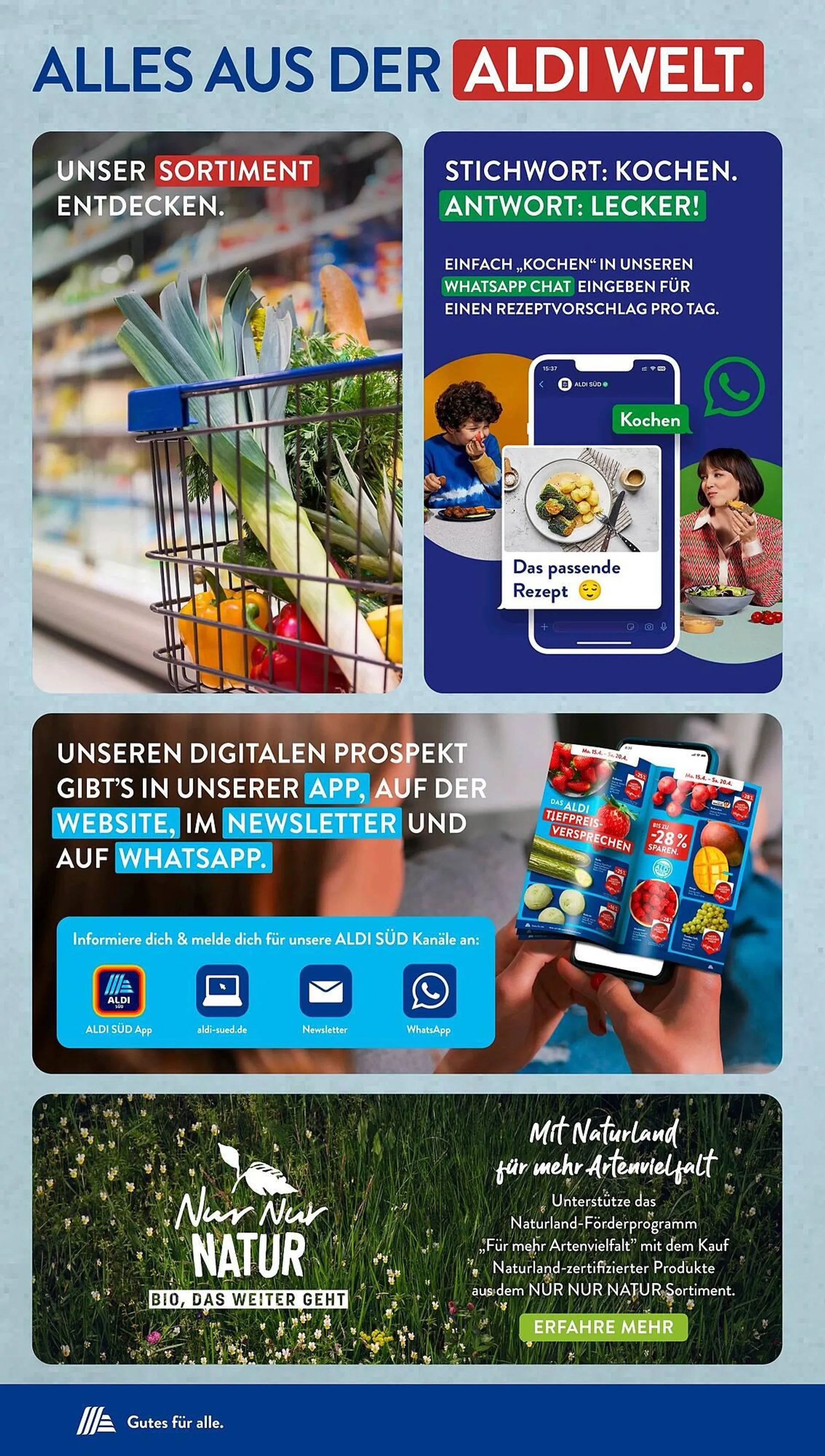 Aldi Süd Prospekt von 30. September bis 6. Oktober 2024 - Prospekt seite 31