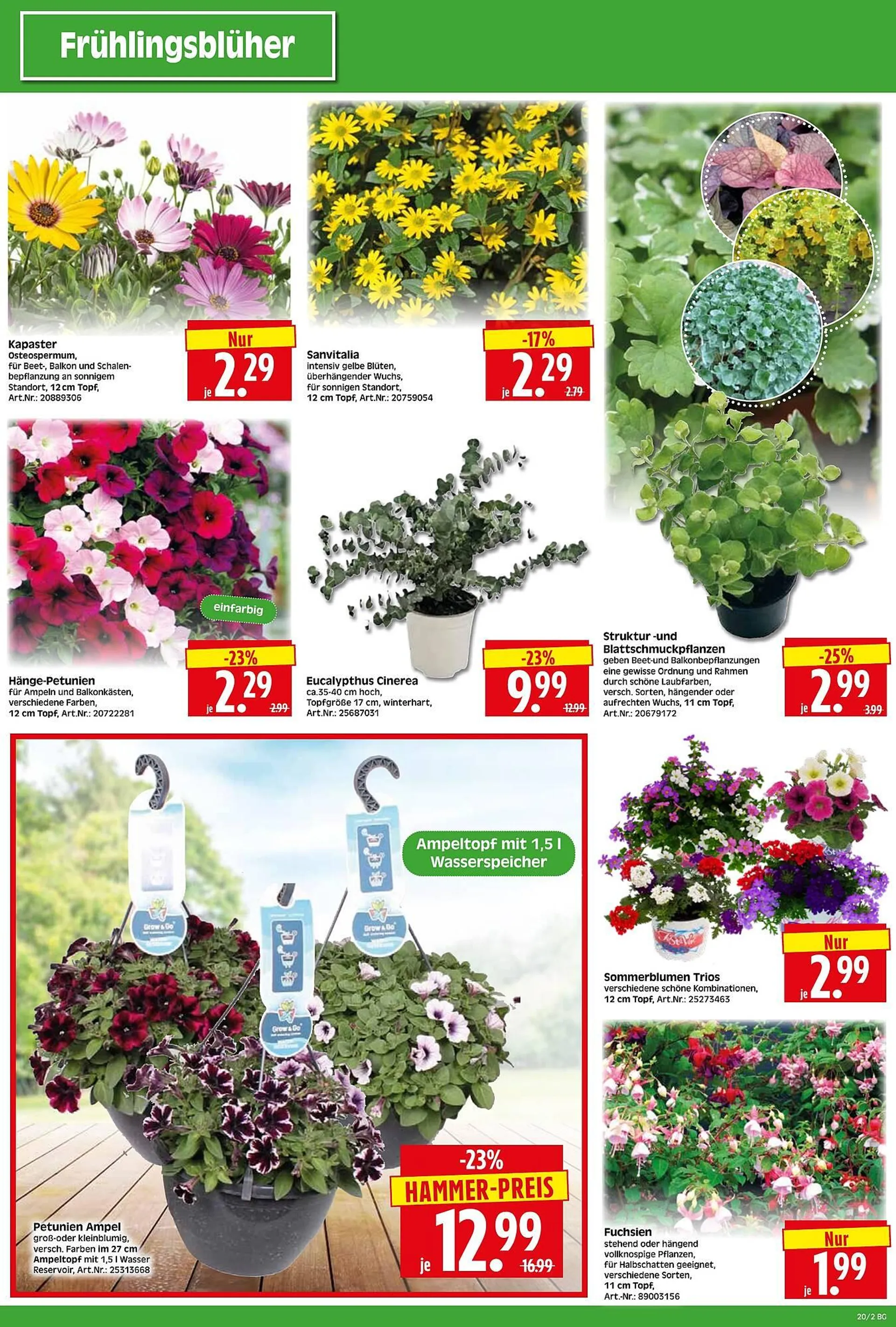 Herkules Baumarkt Prospekt von 12. Mai bis 19. Mai 2025 - Prospekt seite 2