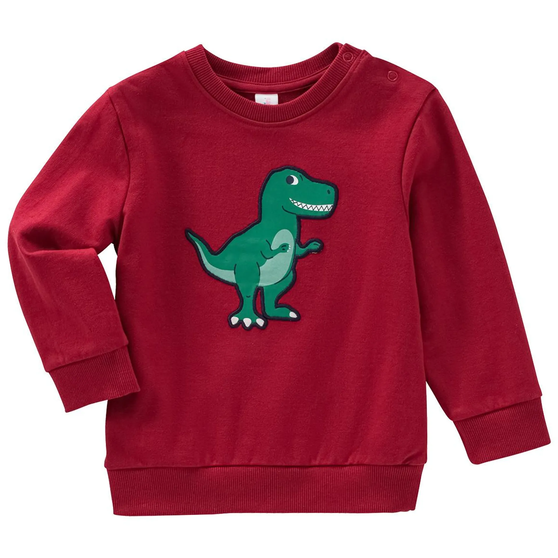 Baby Sweatshirt mit Dino-Applikation