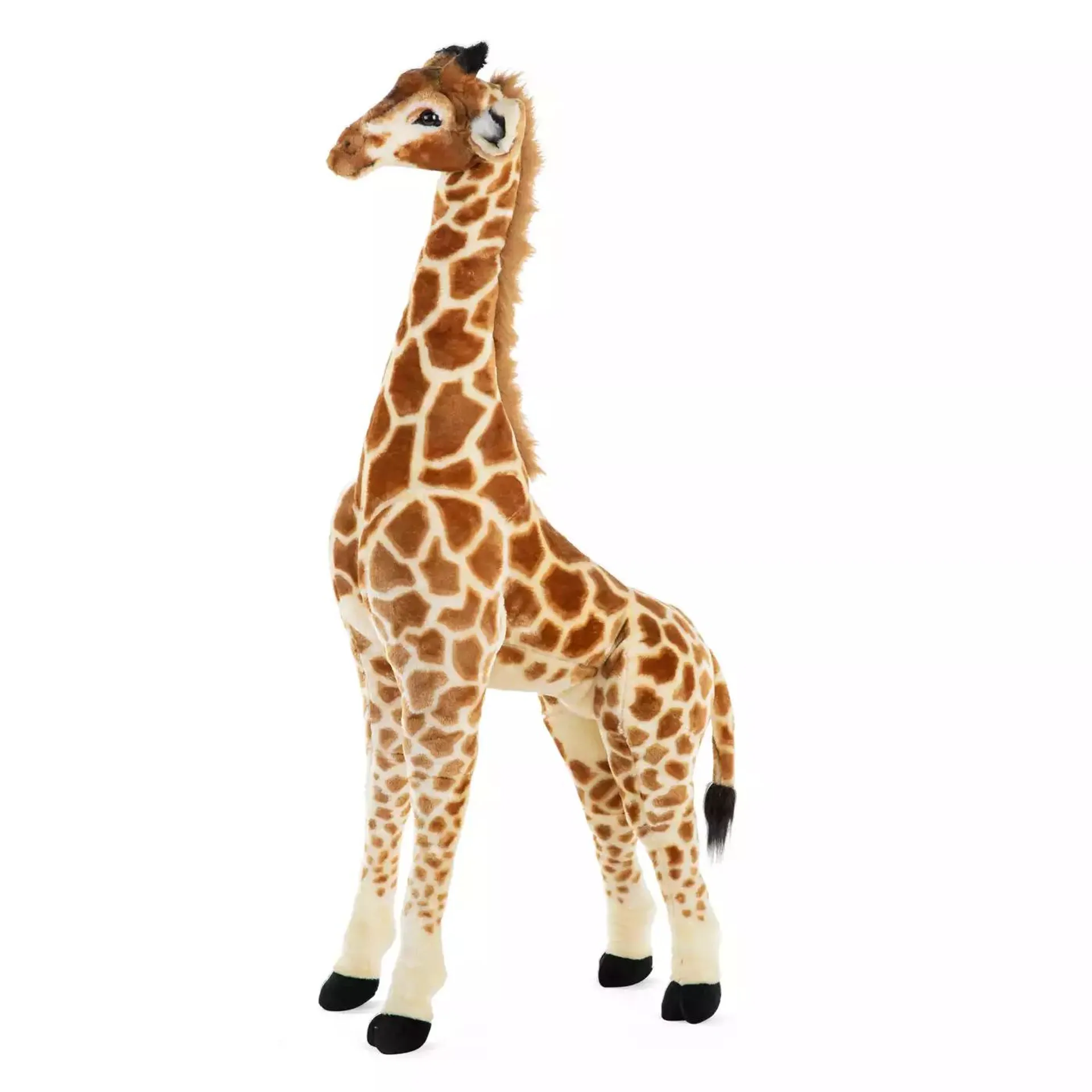 Stehende Giraffe