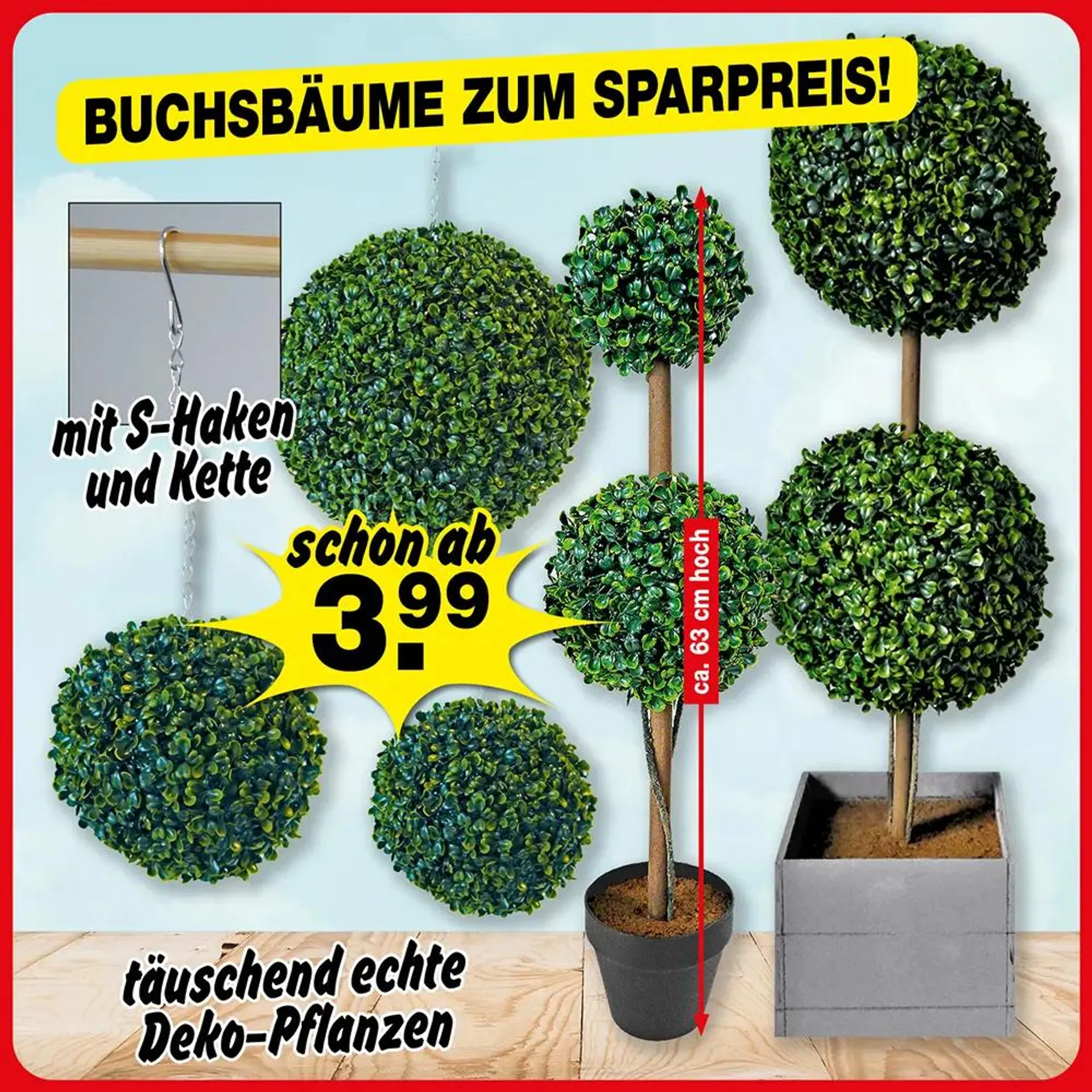 Buchsbäume