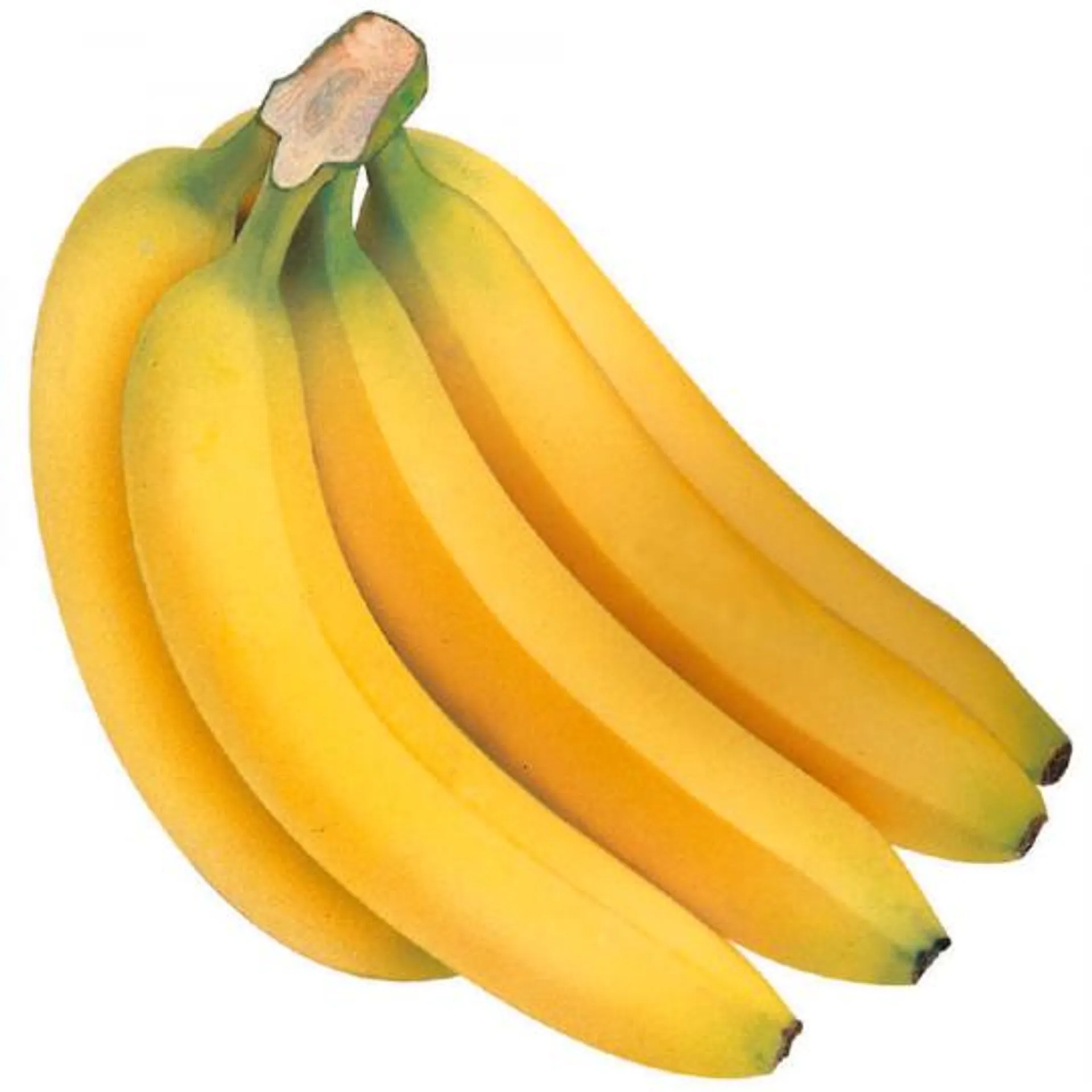 Bio Bananen Demeter