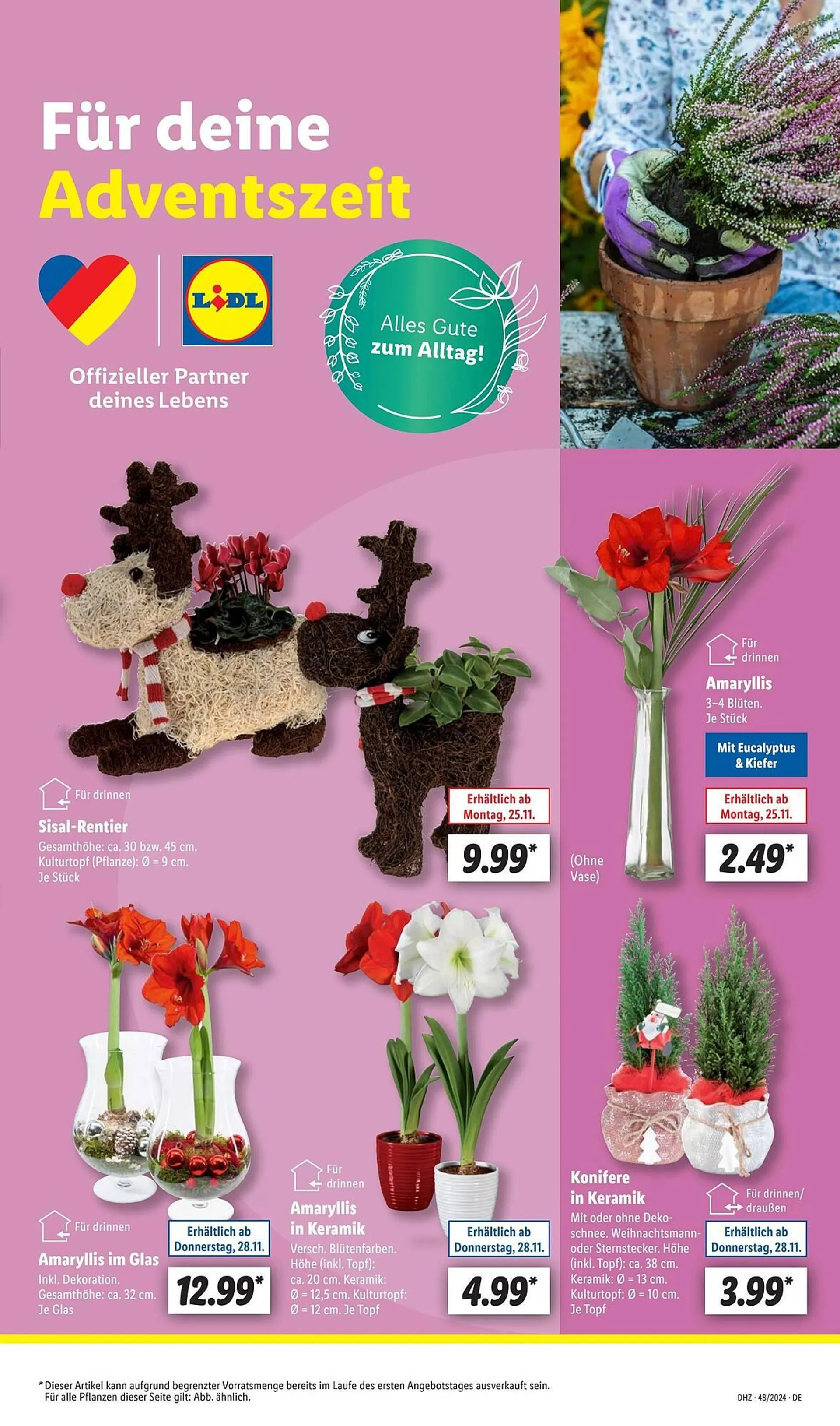 Lidl Prospekt von 9. Dezember bis 14. Dezember 2024 - Prospekt seite 5