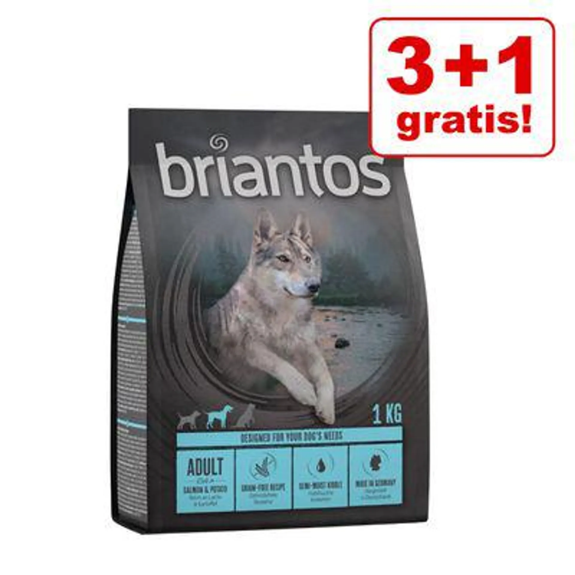 Briantos GETREIDEFREI 3 + 1 kg gratis!