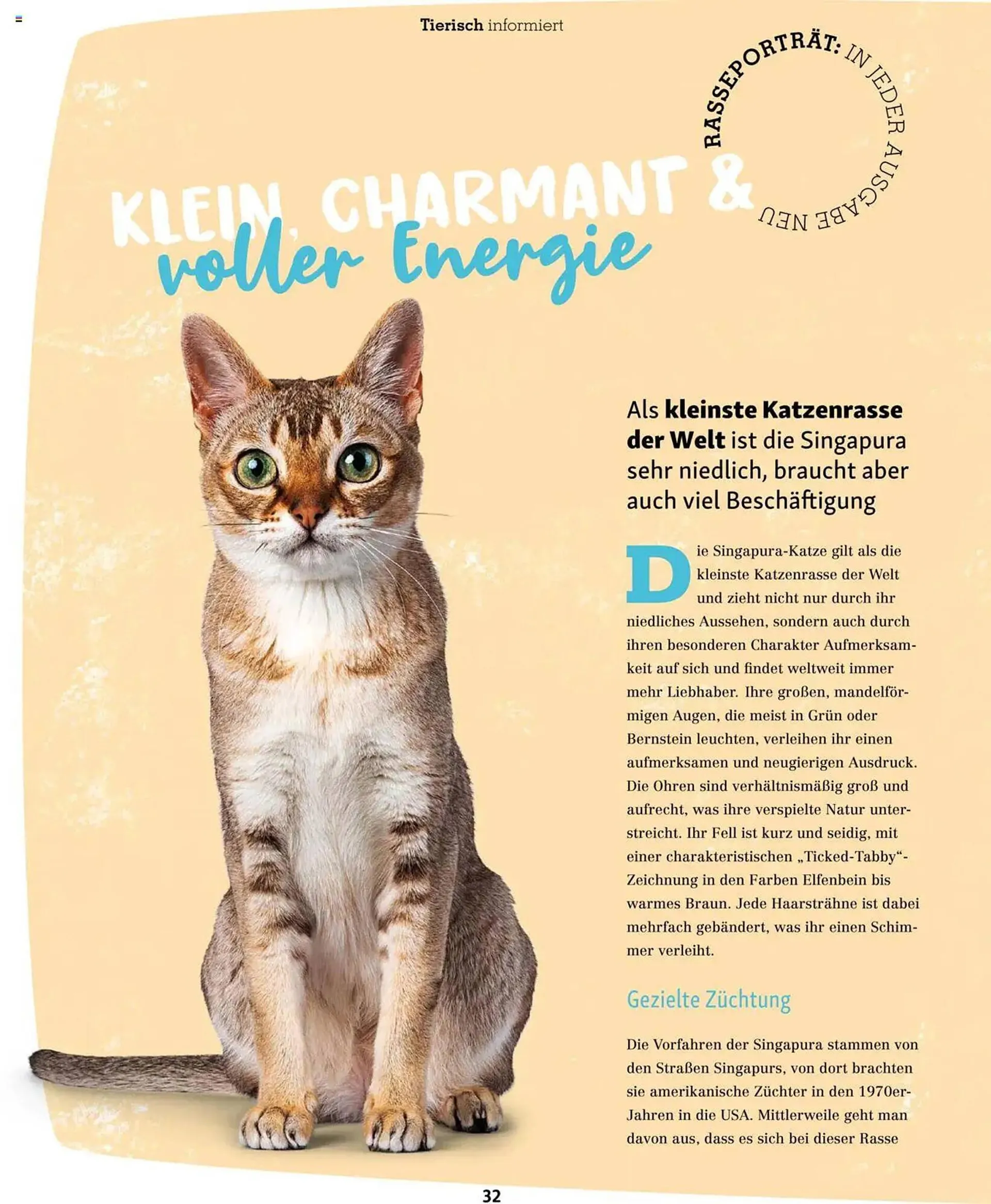 Fressnapf Prospekt von 1. März bis 2. Mai 2025 - Prospekt seite 32