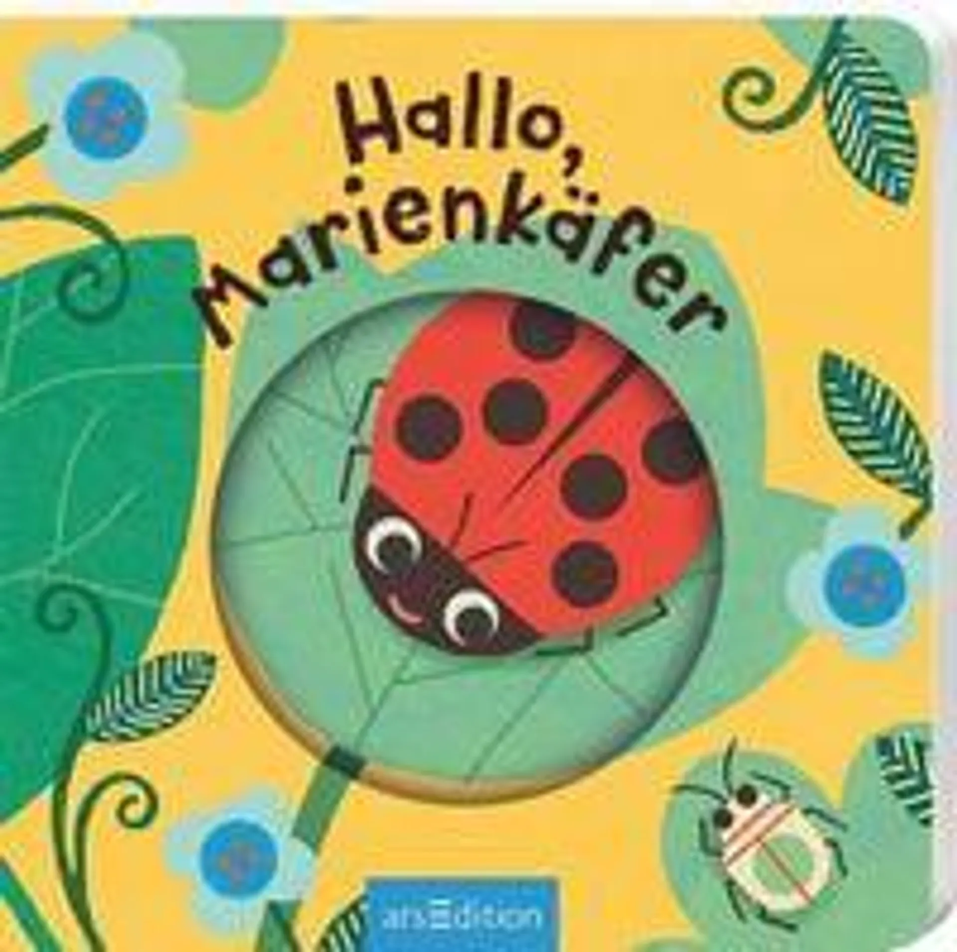 Hallo, Marienkäfer