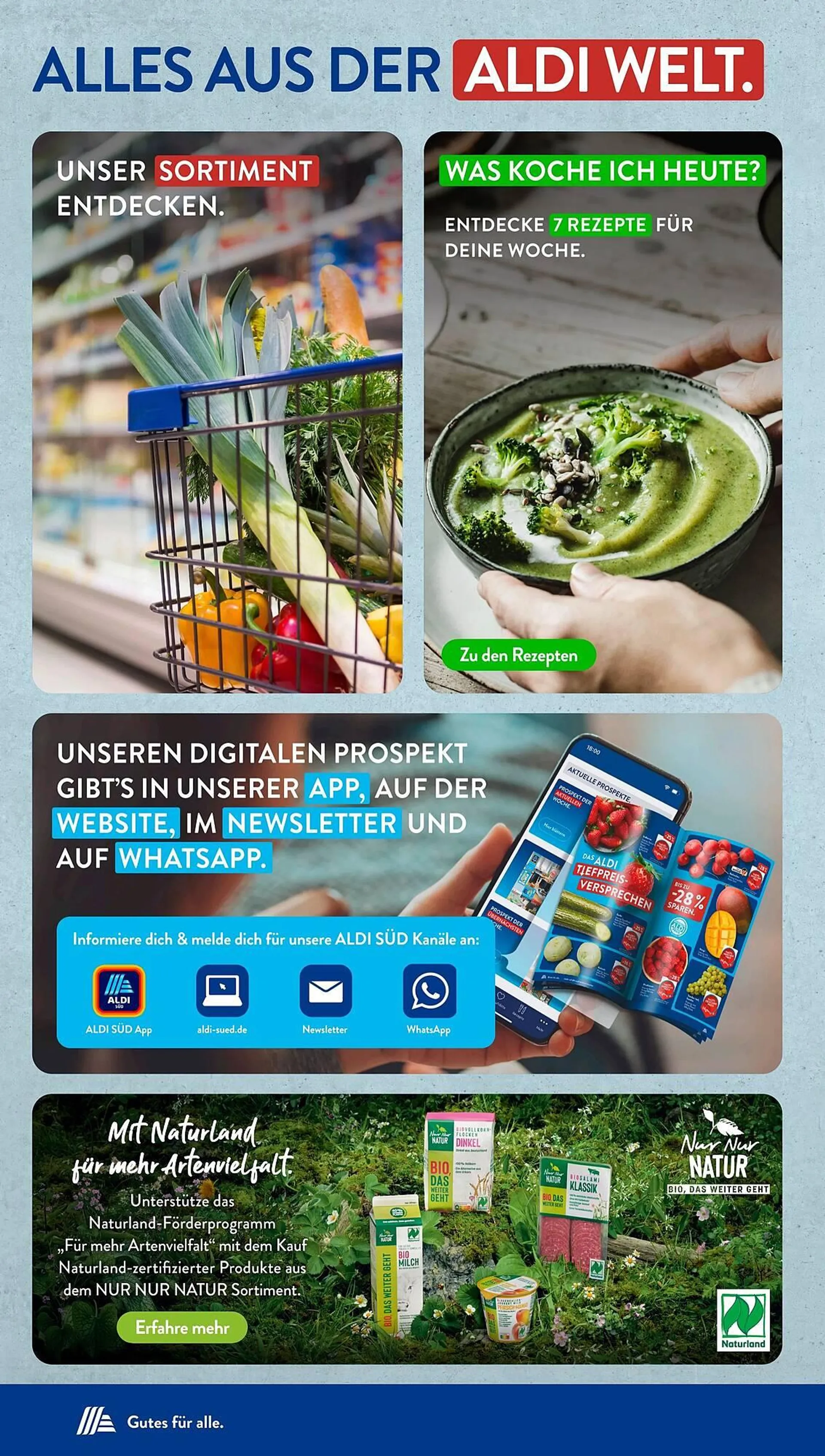 Aldi Süd Prospekt von 16. Juni bis 22. Juni 2025 - Prospekt seite 31