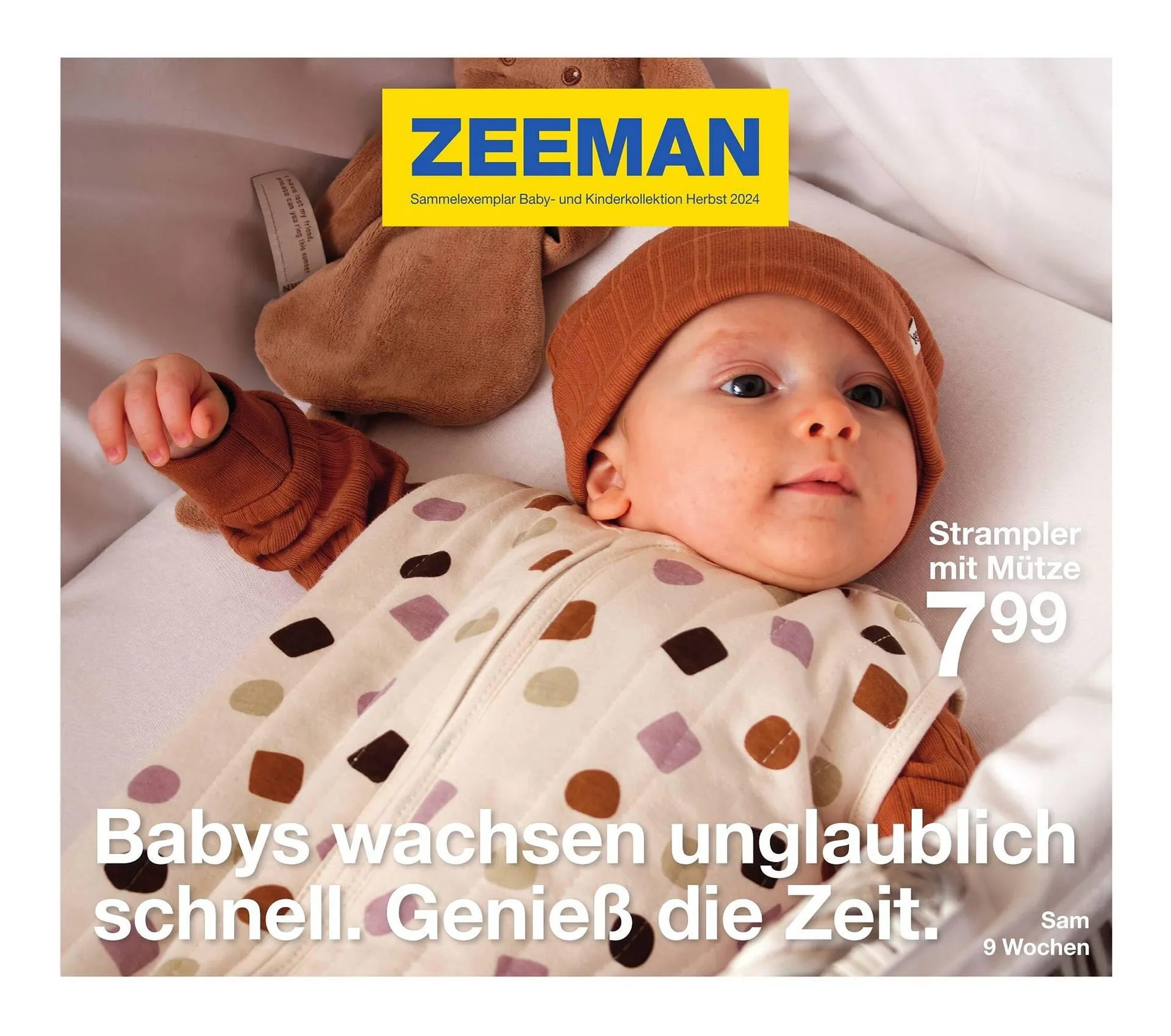 Zeeman Prospekt von 1. September bis 30. November 2024 - Prospekt seite 1