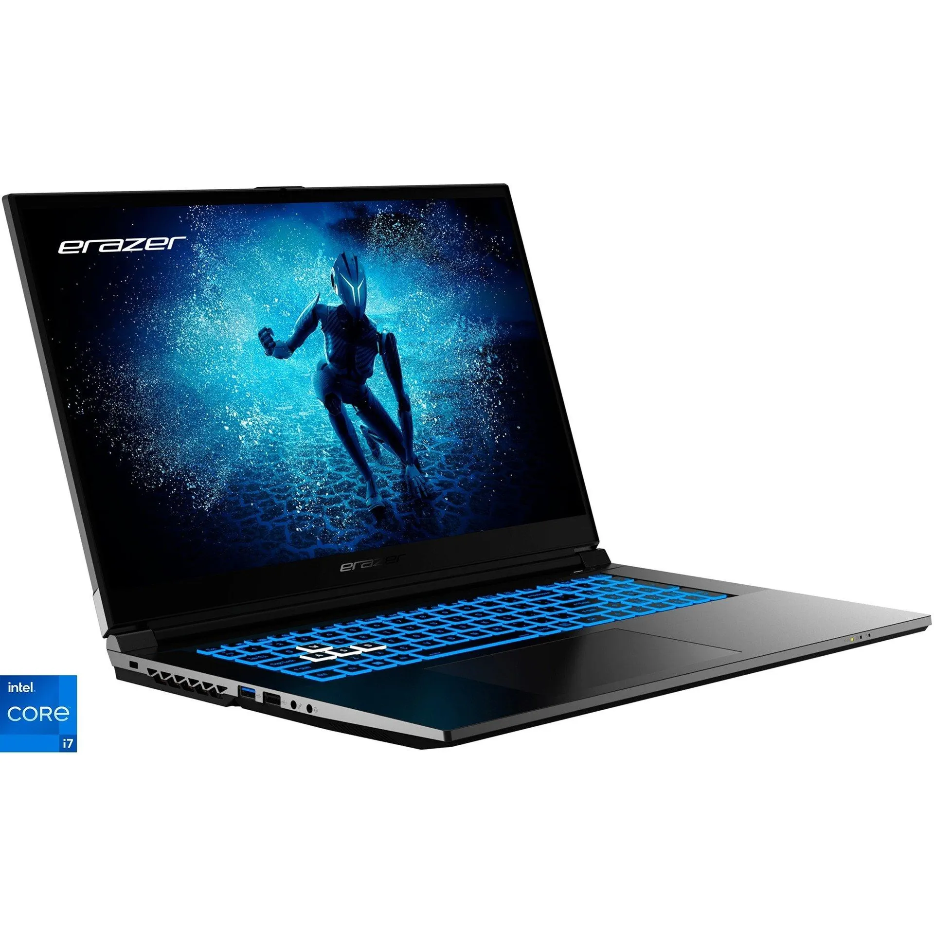 ERAZER Defender P50 (MD62616), Gaming-Notebook