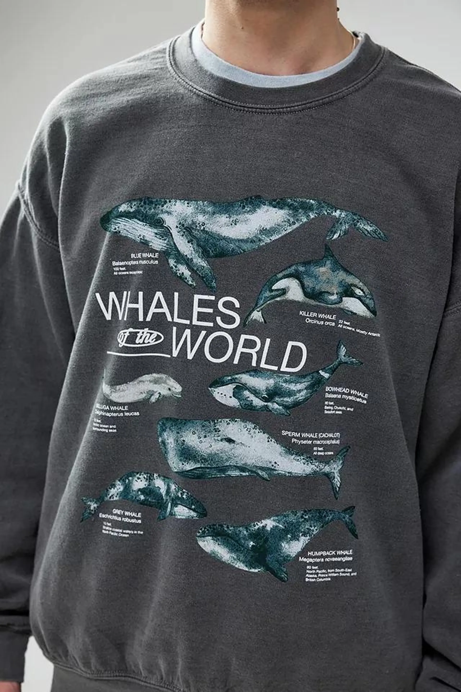 UO - Sweatshirt Whales World noir surteint