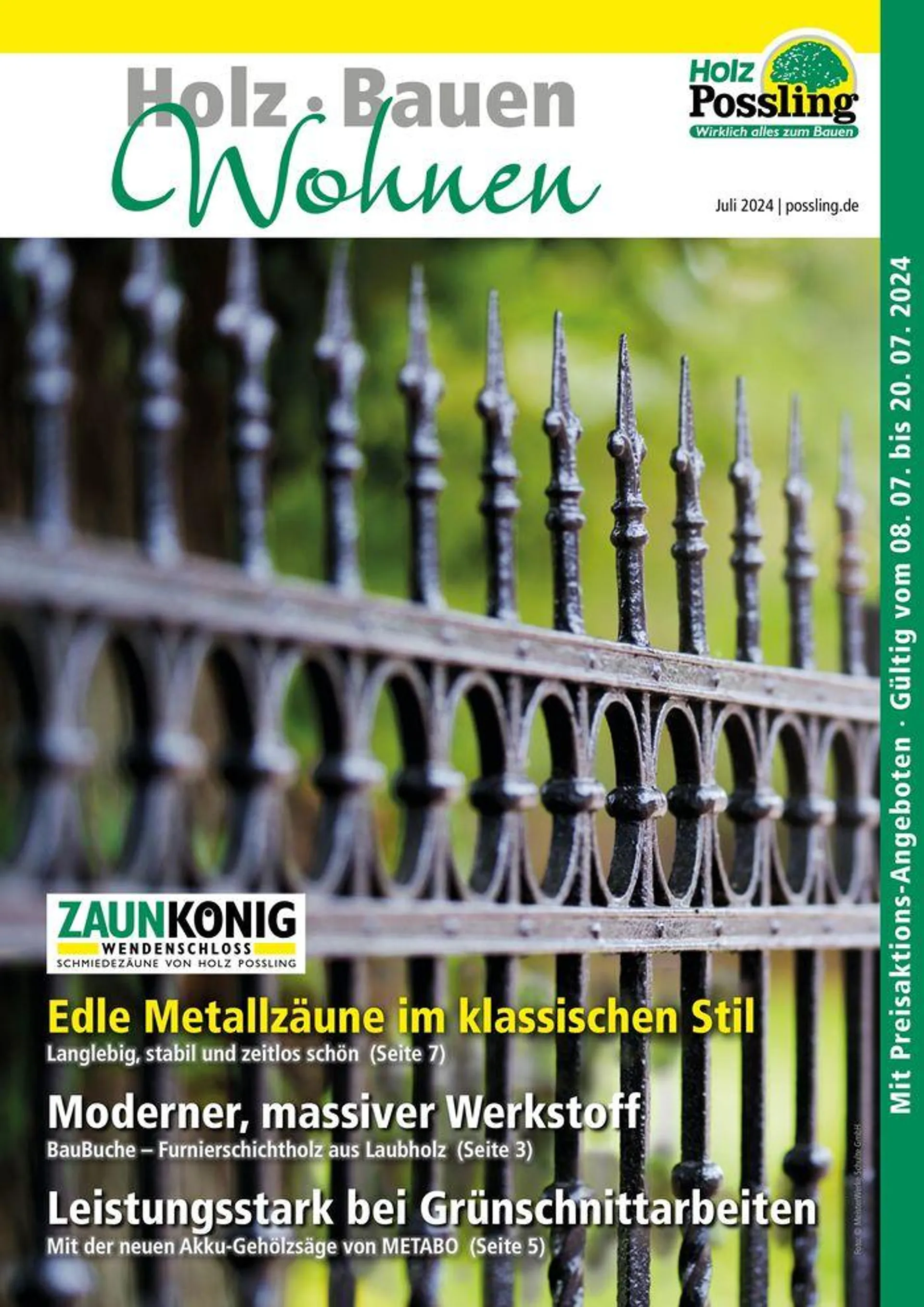 Edle Metallzäune Im Klassischen Stil - 1