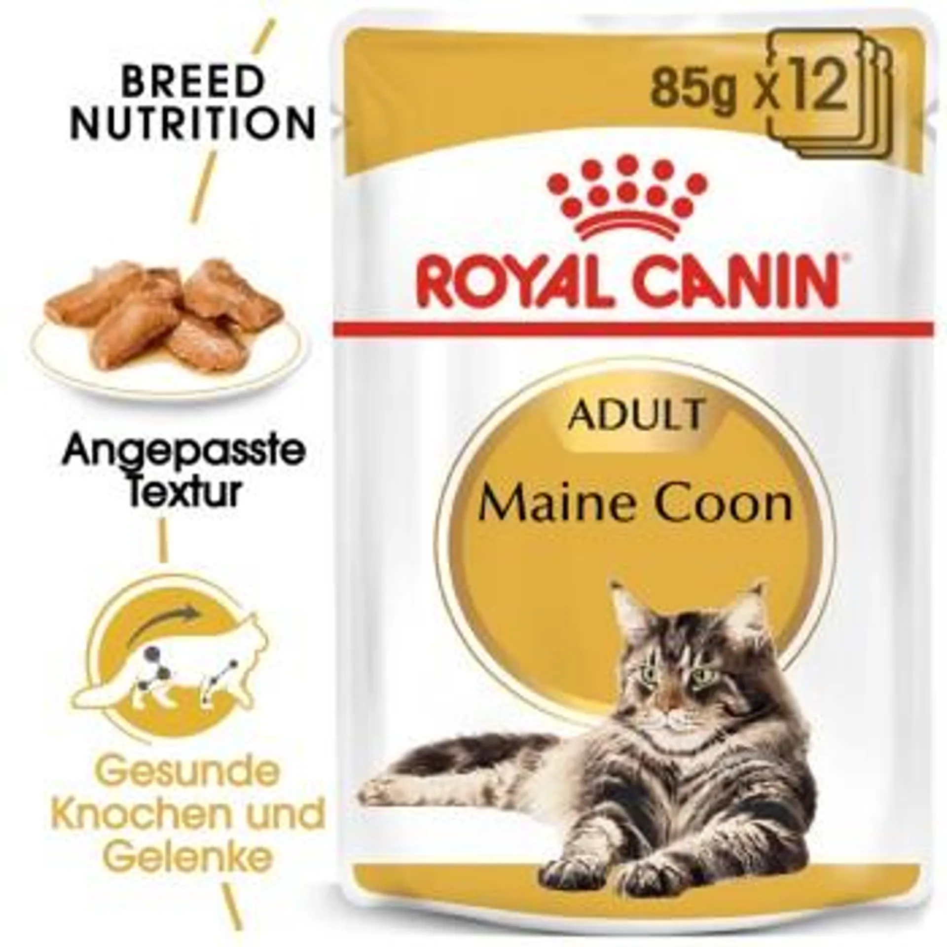 ROYAL CANIN Maine Coon Adult in Soße 12x85 g