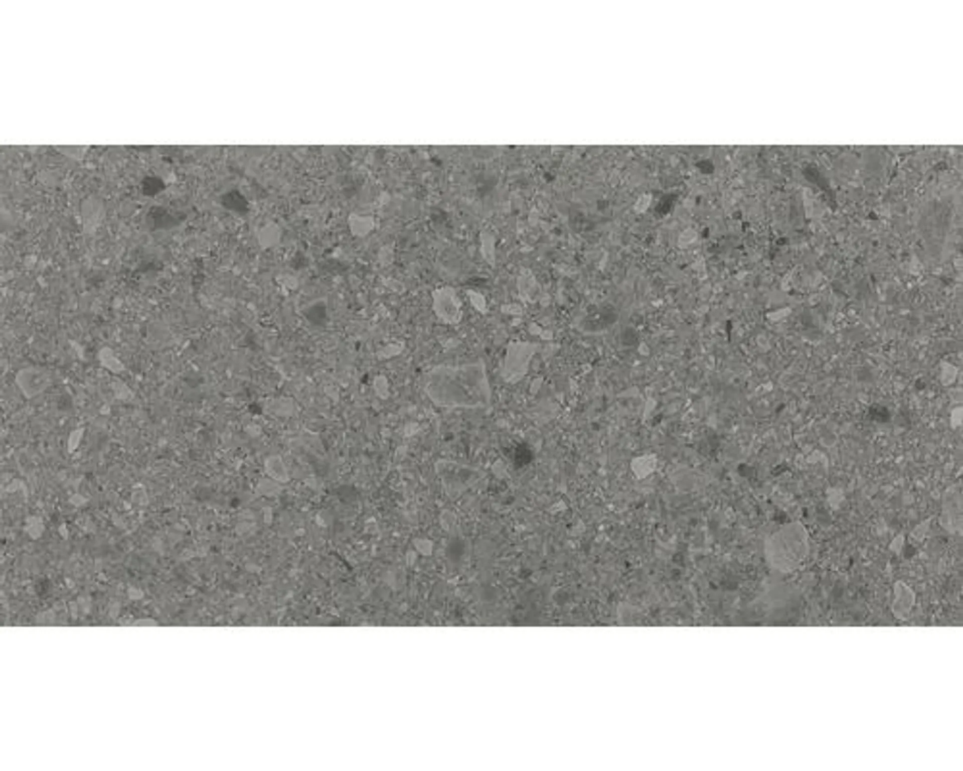 Feinsteinzeug Wand- und Bodenfliese Terrazzo Donau grau 60 x 120 cm rektifiziert