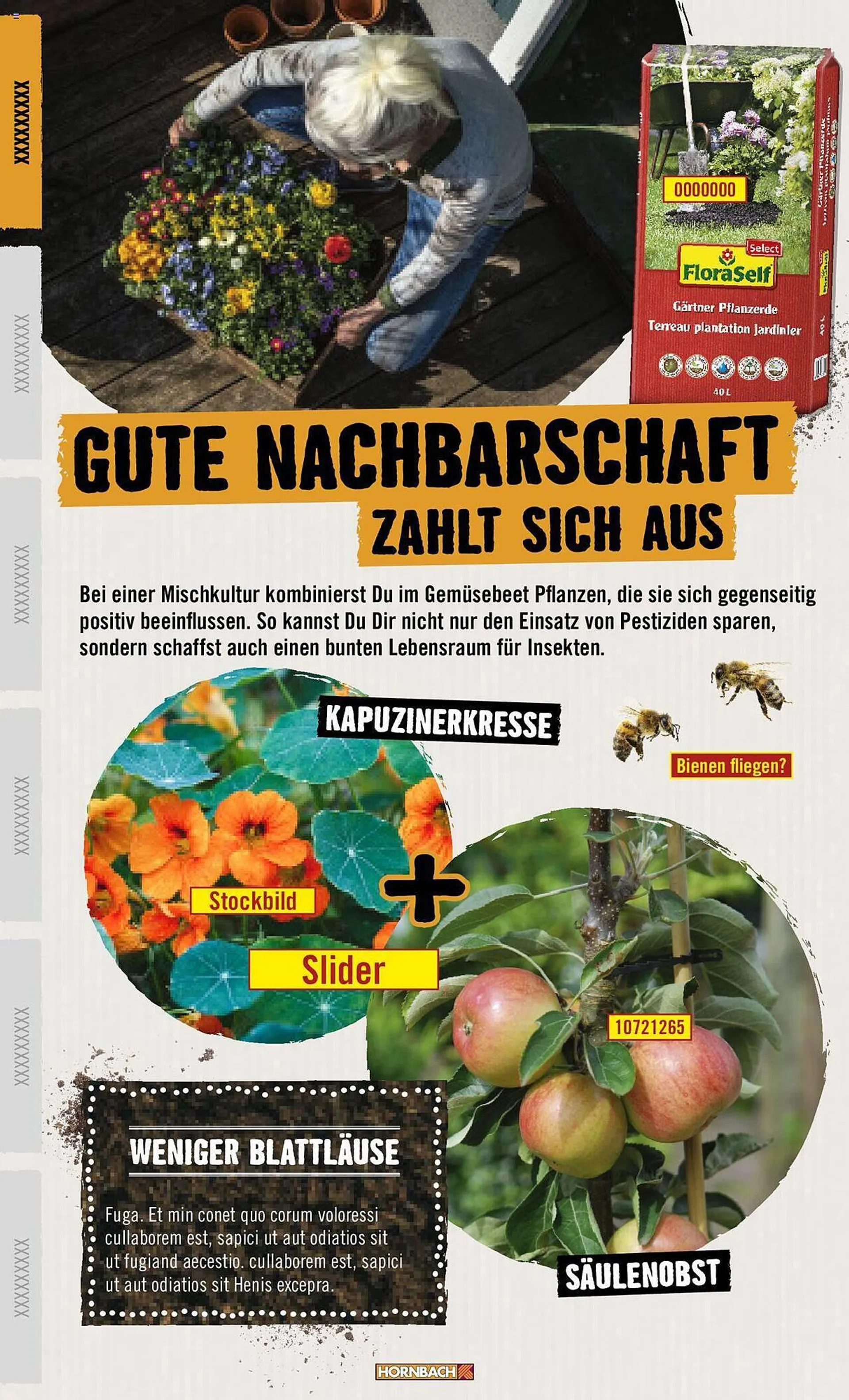 Hornbach Prospekt von 13. März bis 29. September 2024 - Prospekt seite 6