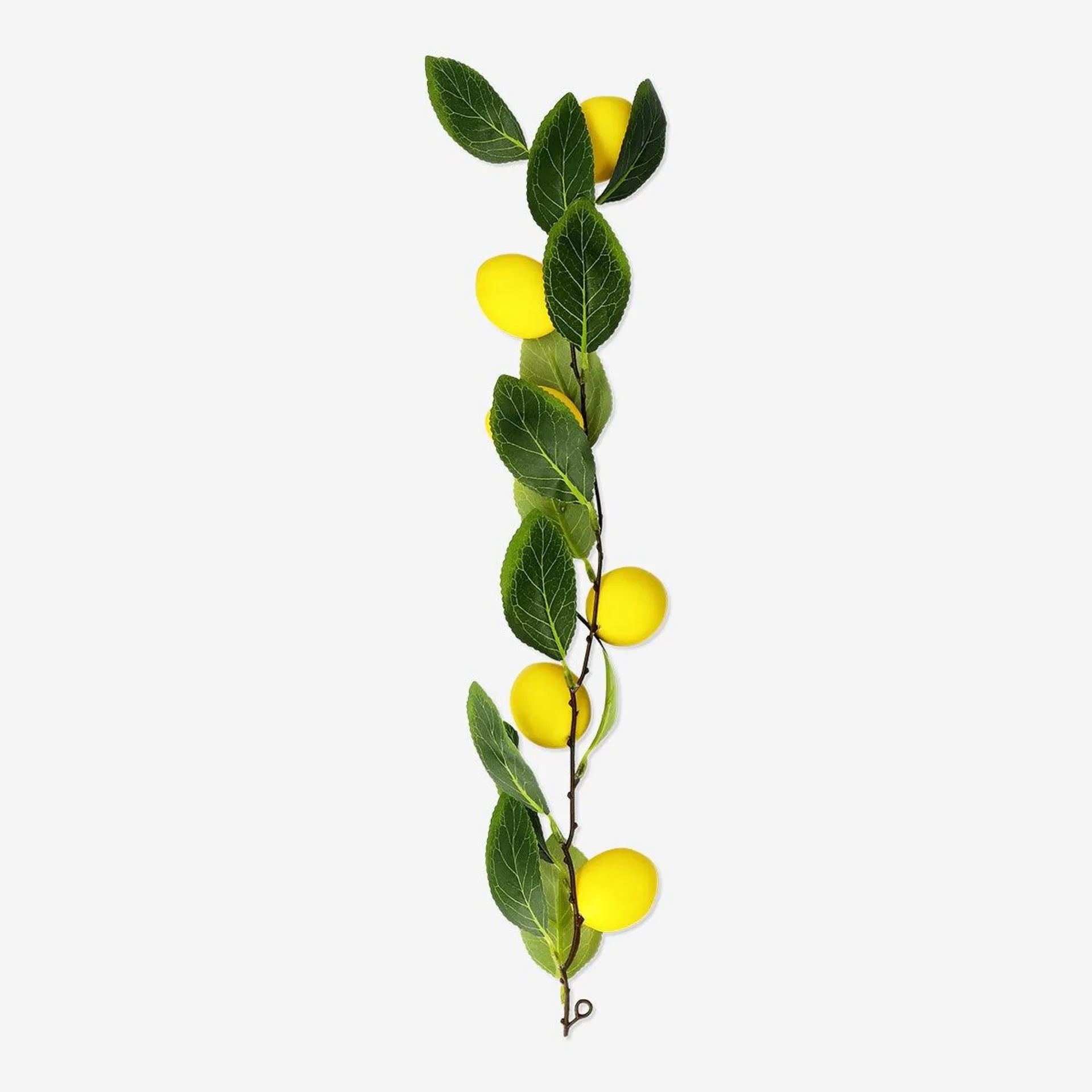 Decorative lemons