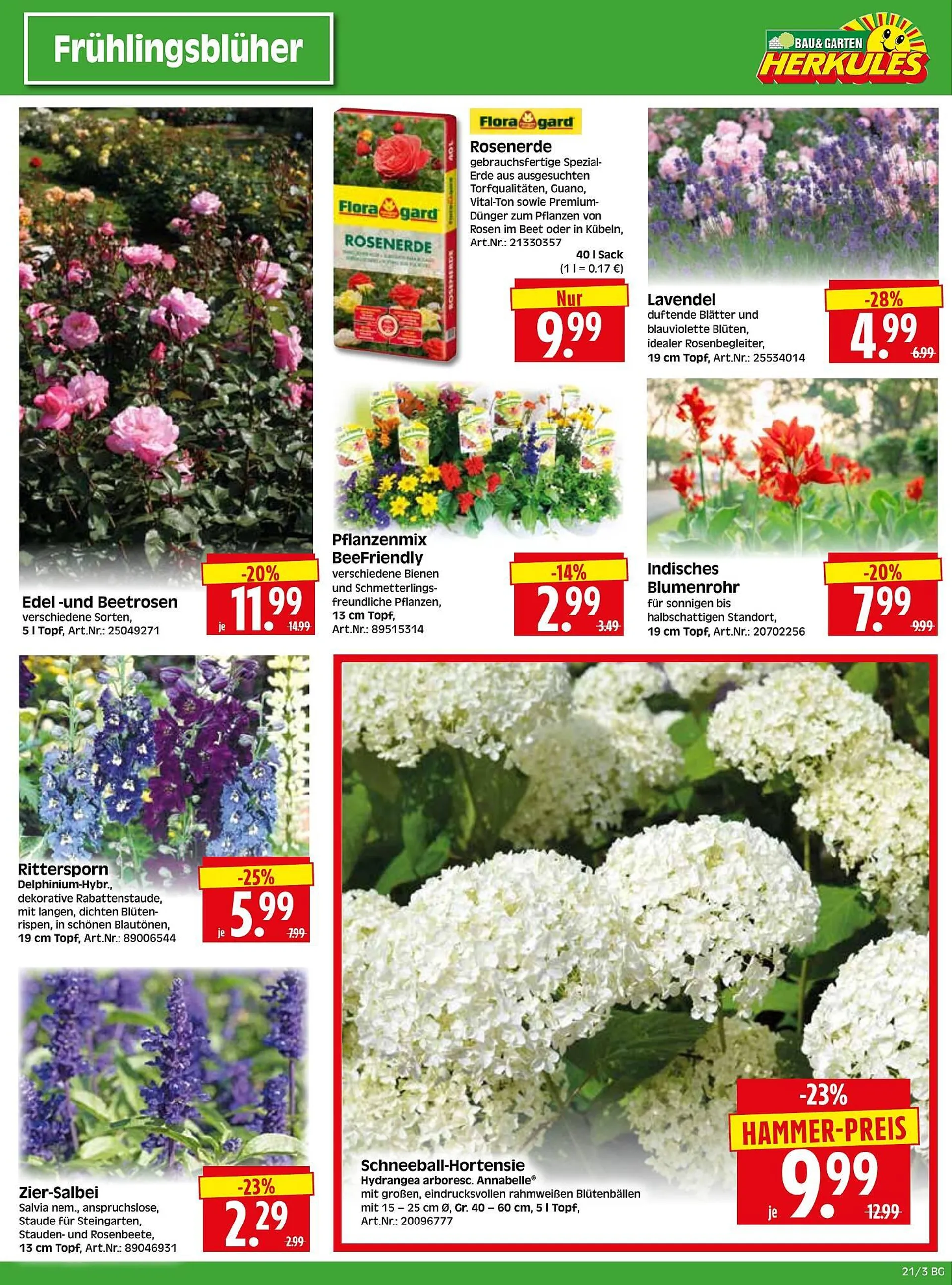 Herkules Baumarkt Prospekt von 19. Mai bis 26. Mai 2025 - Prospekt seite 3