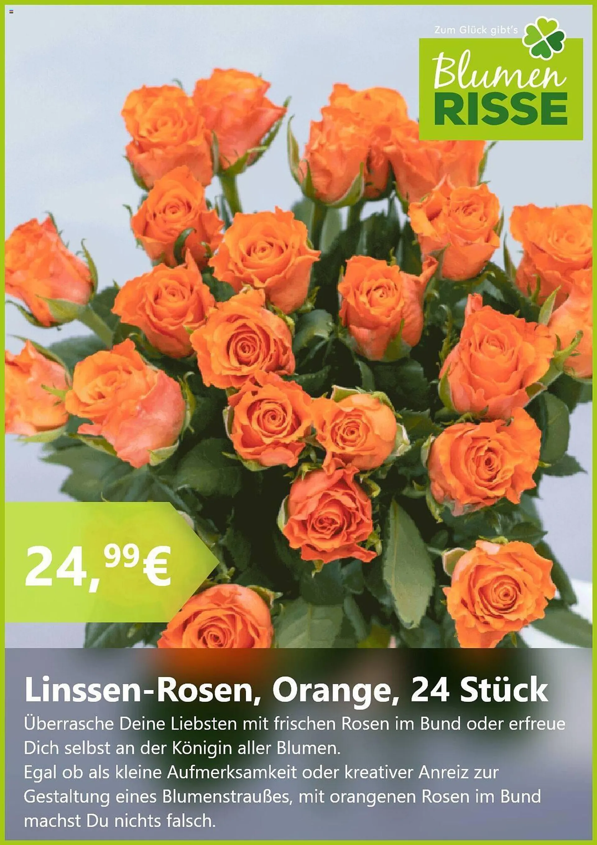 Blumen Risse Prospekt von 20. August bis 17. September 2024 - Prospekt seite 5