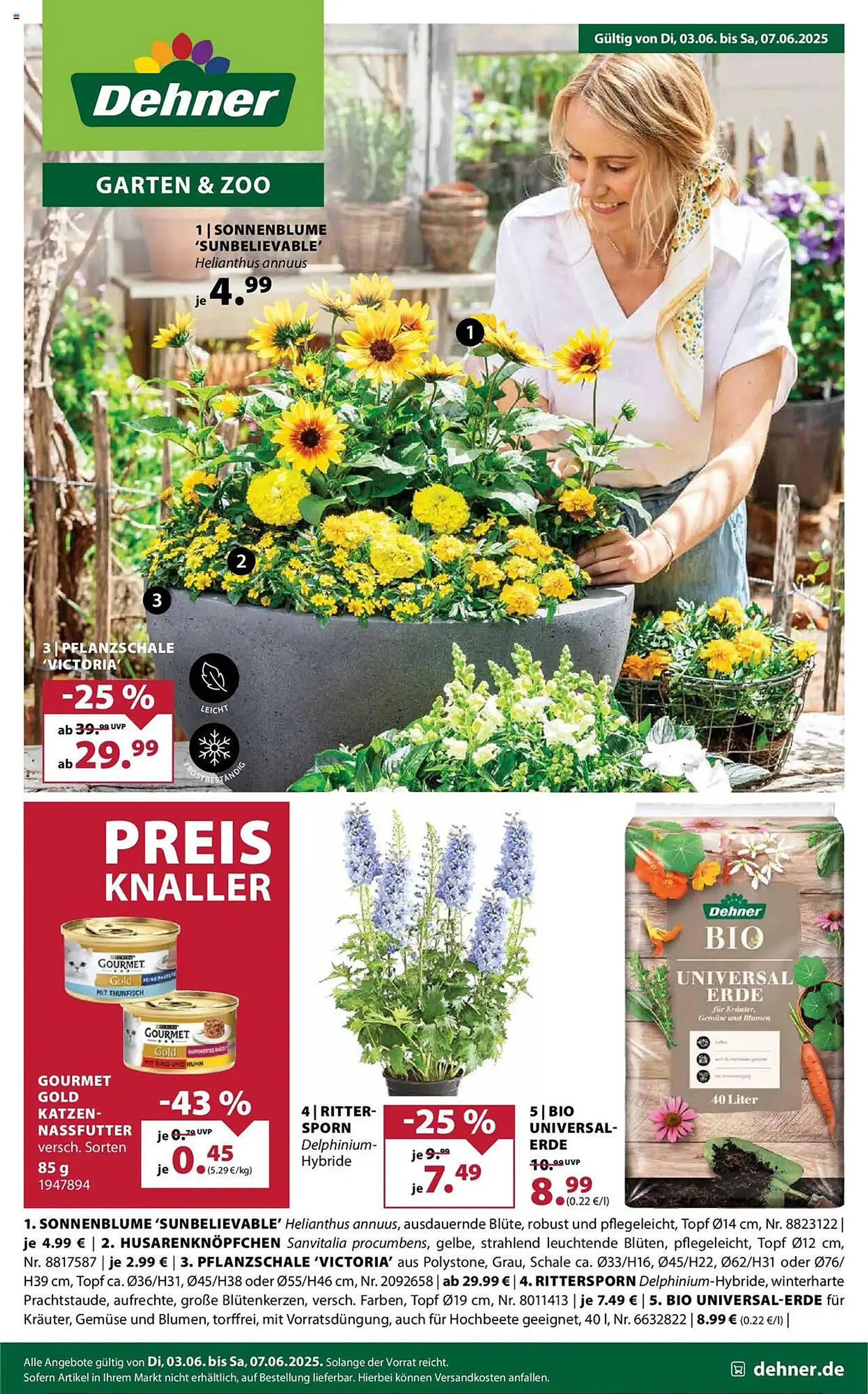 Dehner Prospekt von 3. Juni bis 7. Juni 2025 - Prospekt seite 1