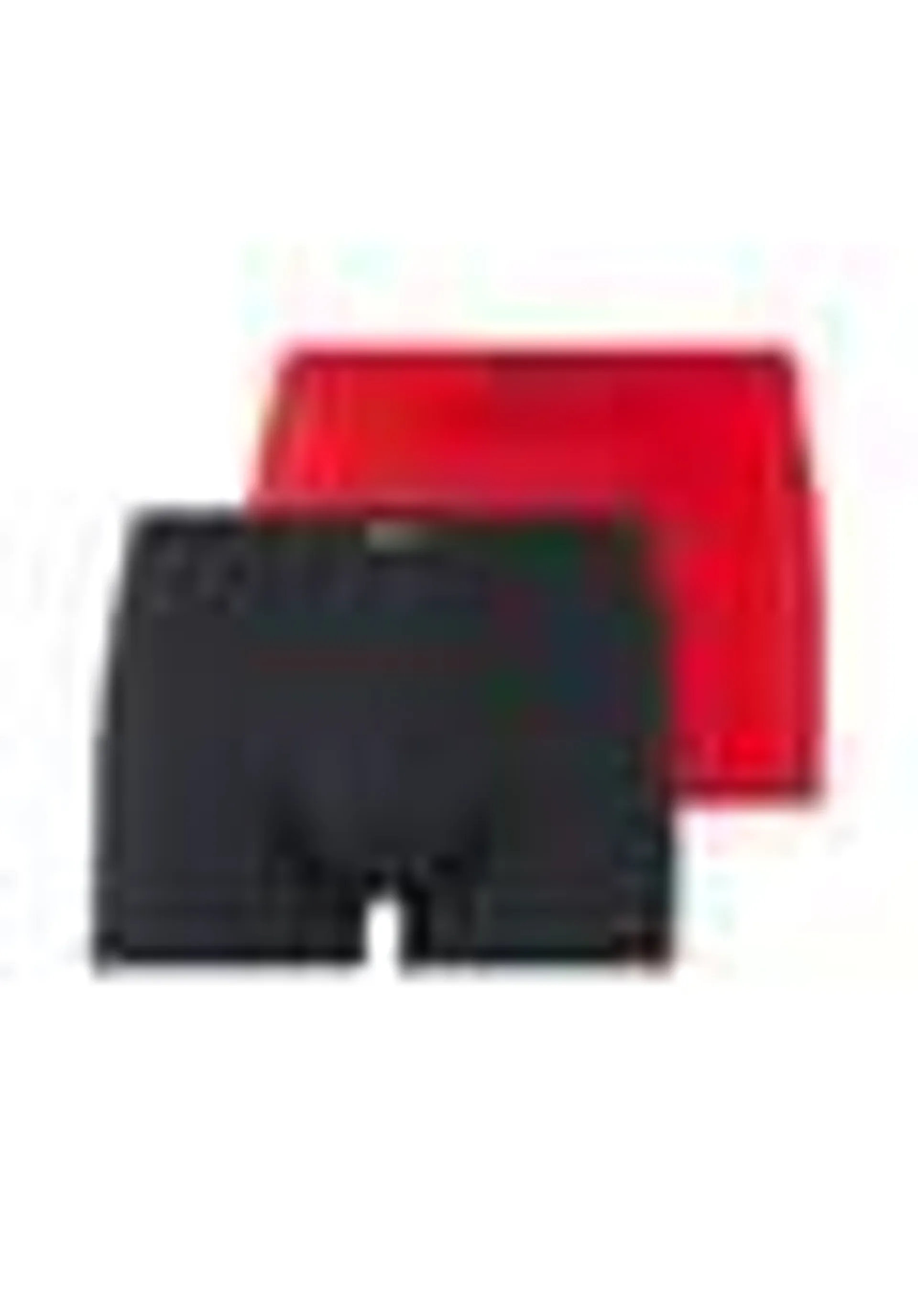 bruno banani Retro Short / Pant 2er Pack Micro Coloured