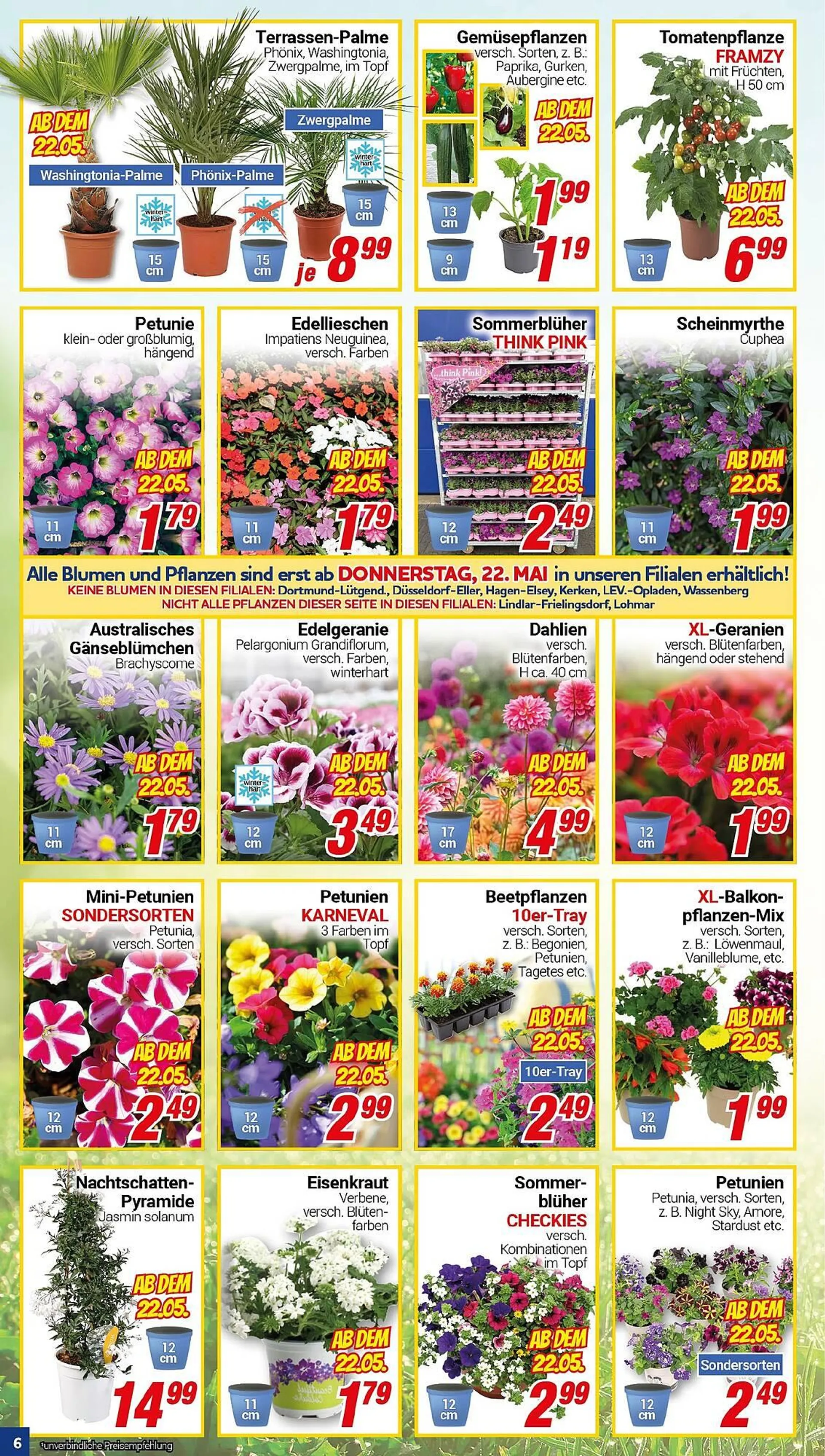 CENTERSHOP Prospekt von 19. Mai bis 24. Mai 2025 - Prospekt seite 6