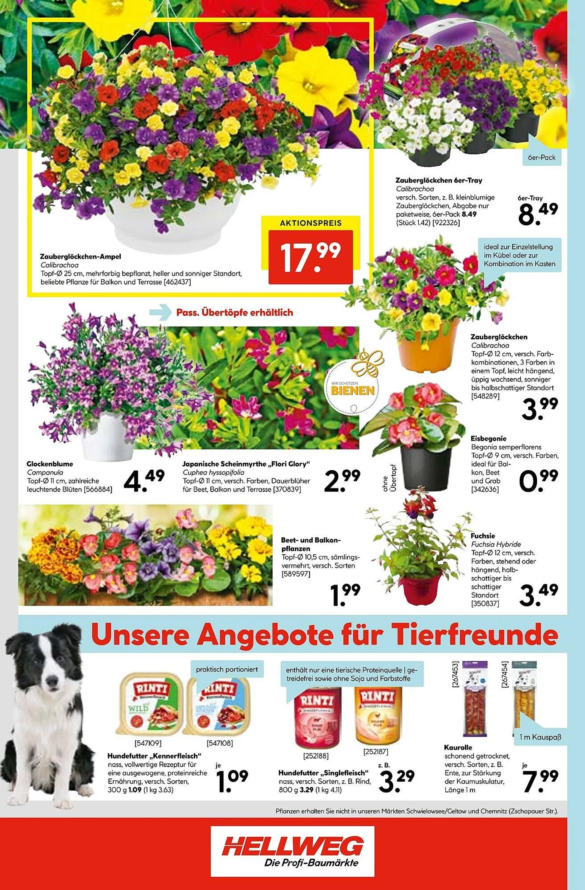 Hellweg Prospekt von 19. Mai bis 24. Mai 2025 - Prospekt seite 24