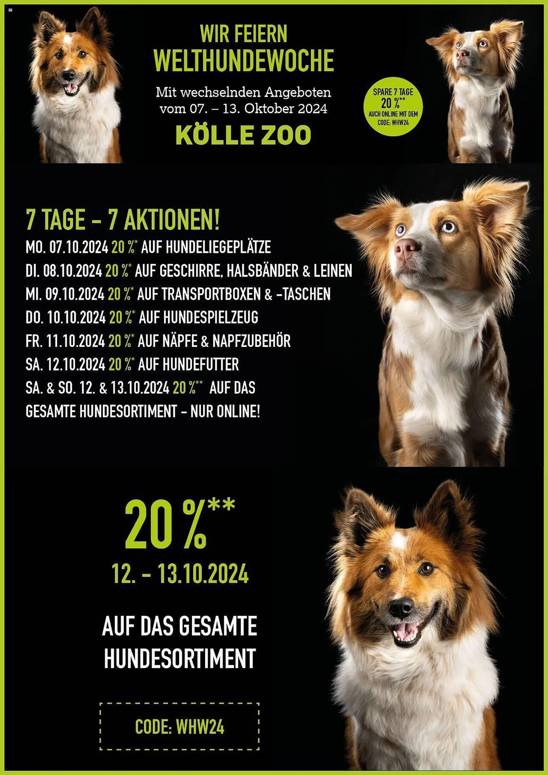 Kölle Zoo Prospekt von 4. Oktober bis 4. November 2024 - Prospekt seite 2