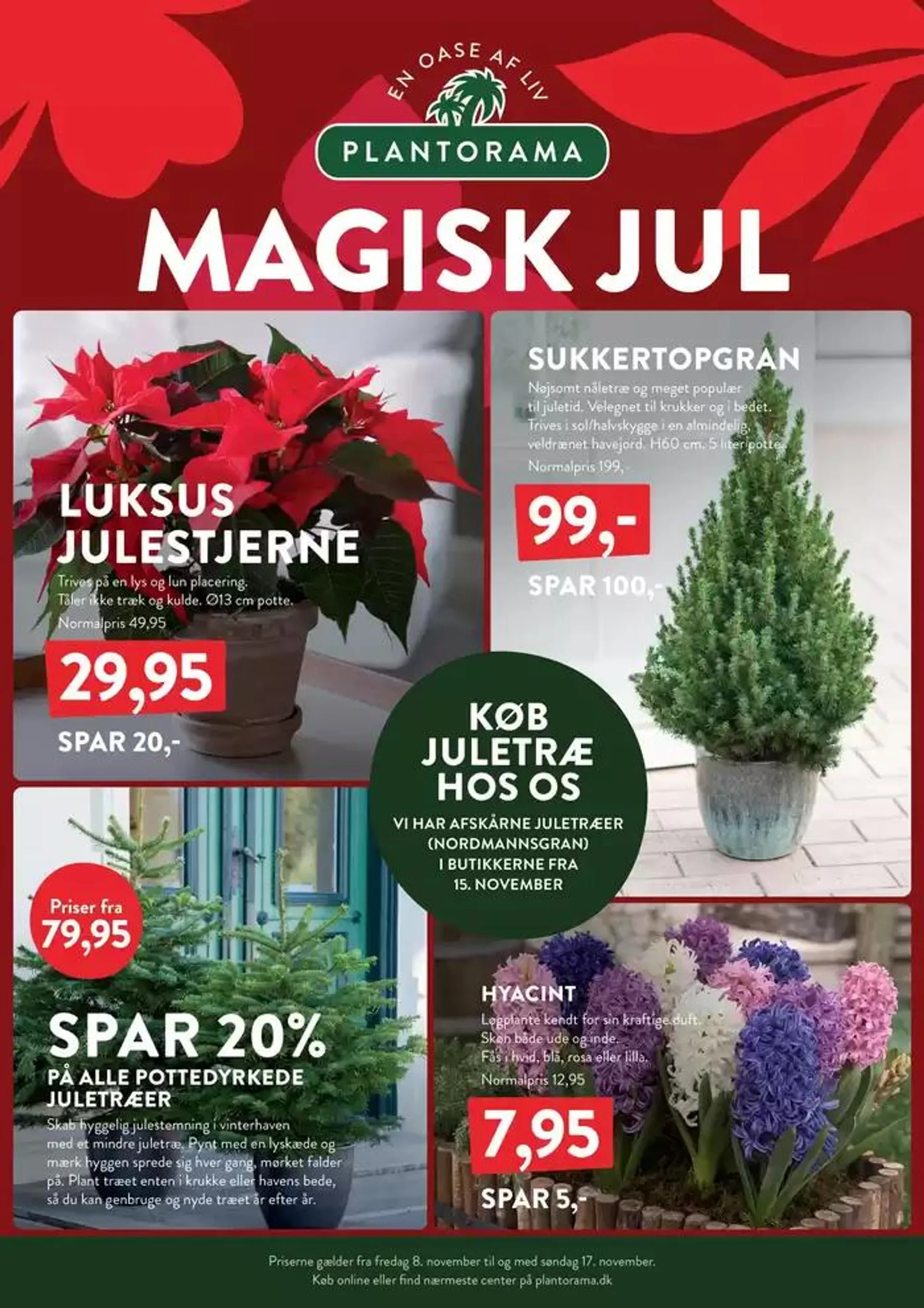 Magisk Jul - 1