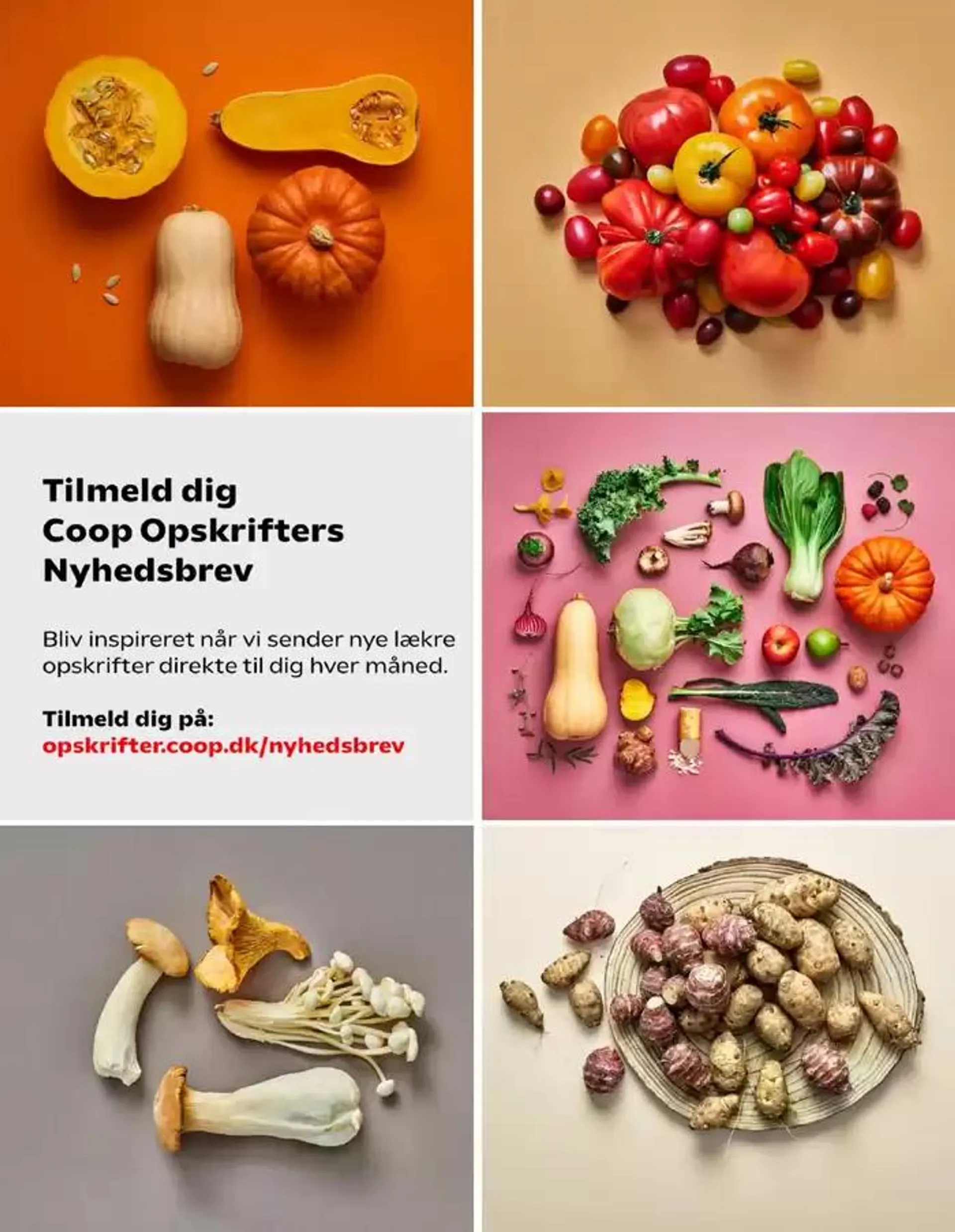 Aktuelle kup og tilbud Gyldig indtil 25. oktober - 31. oktober 2024 - tilbudsavis side 37