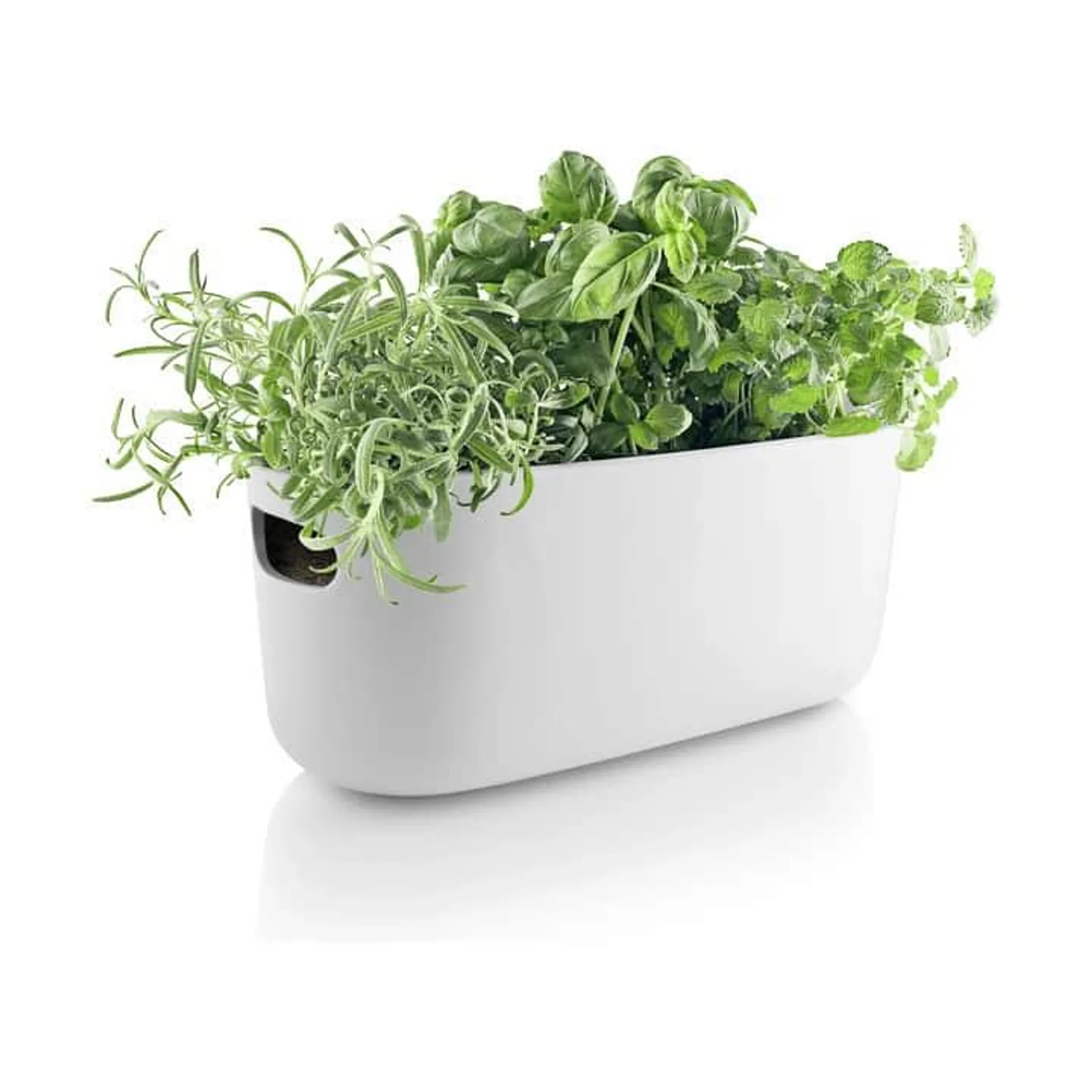 Selvvandende Herb Organiser