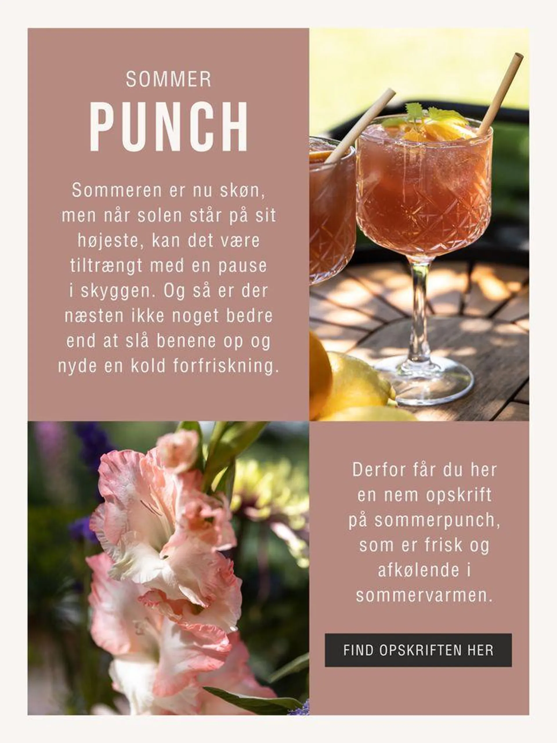 Sommerhygge Gyldig indtil 16. februar - 31. maj 2024 - tilbudsavis side 17