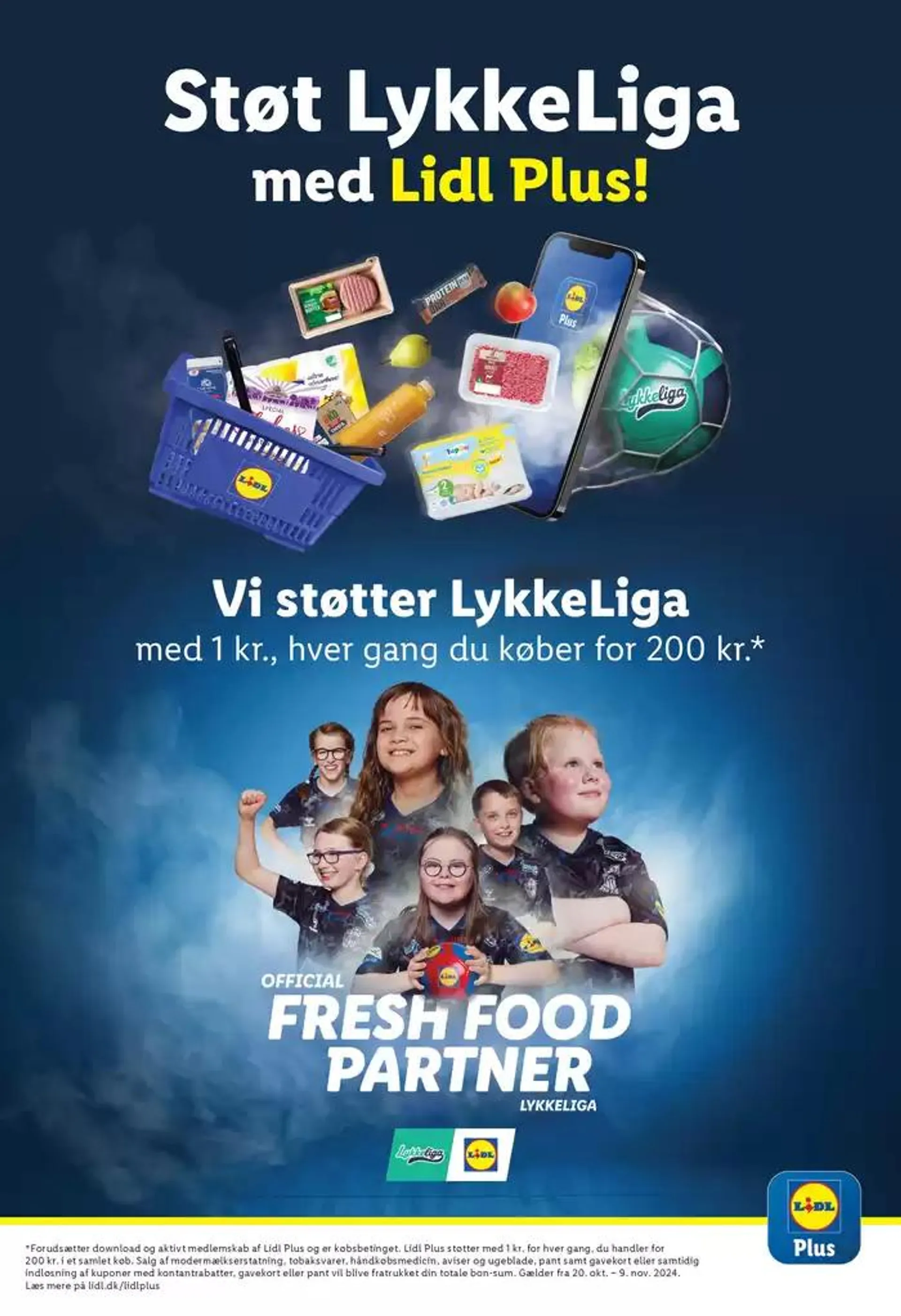 Lidl Tilbudsavis Gyldig indtil 16. oktober - 26. oktober 2024 - tilbudsavis side 43