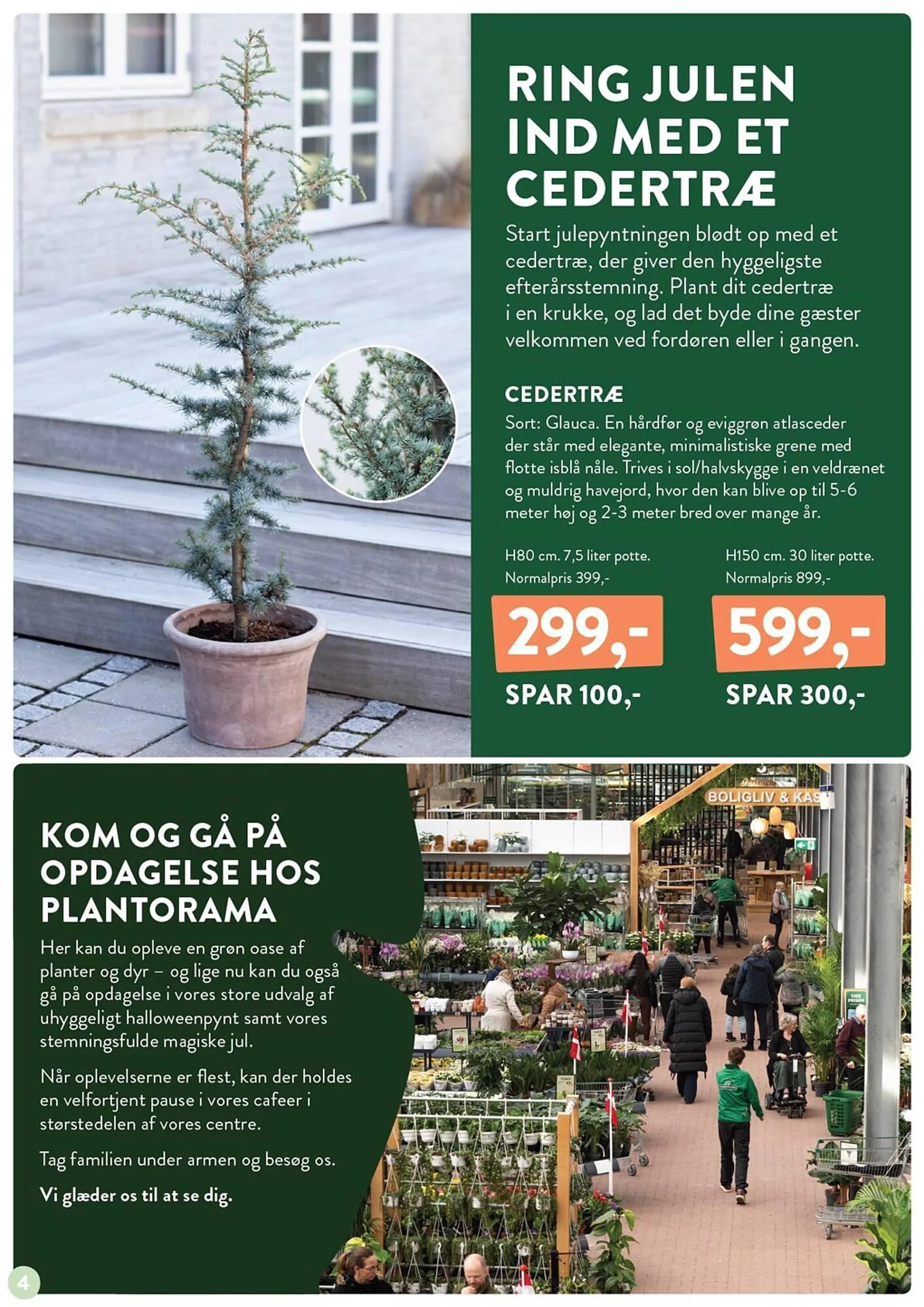 Plantorama tilbudsavis Gyldig indtil 11. oktober - 20. oktober 2024 - tilbudsavis side 4