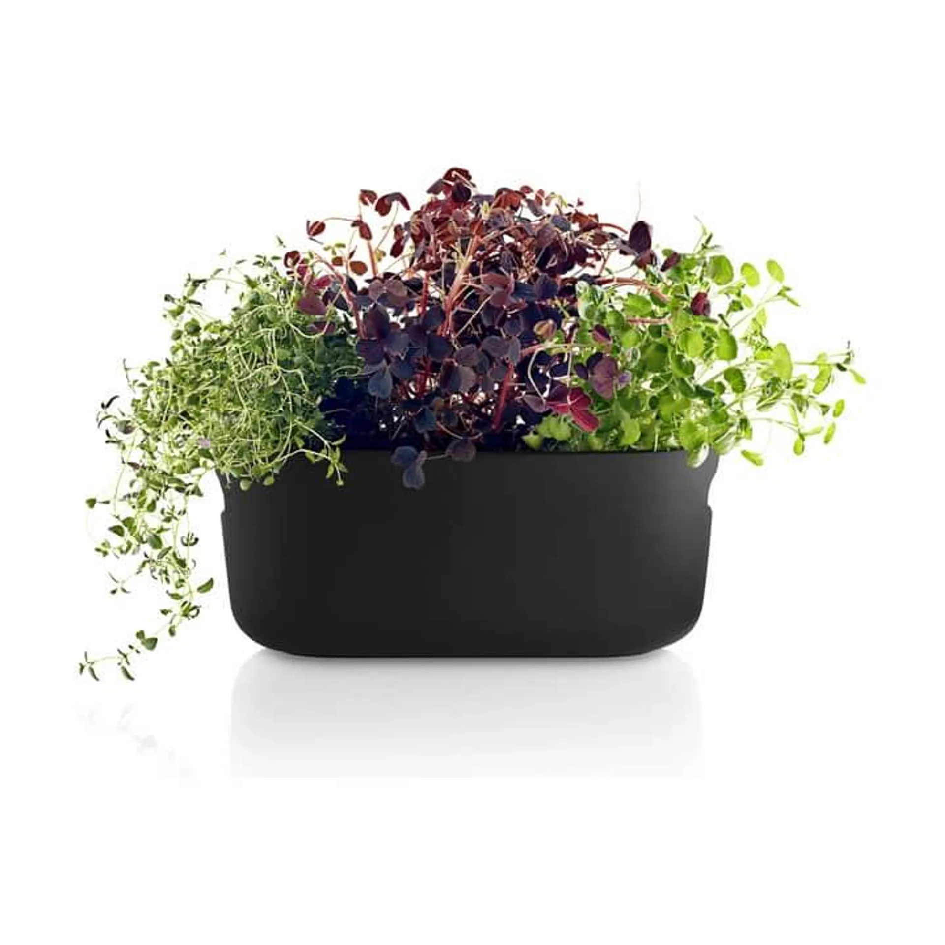 Selvvandende Herb Organiser