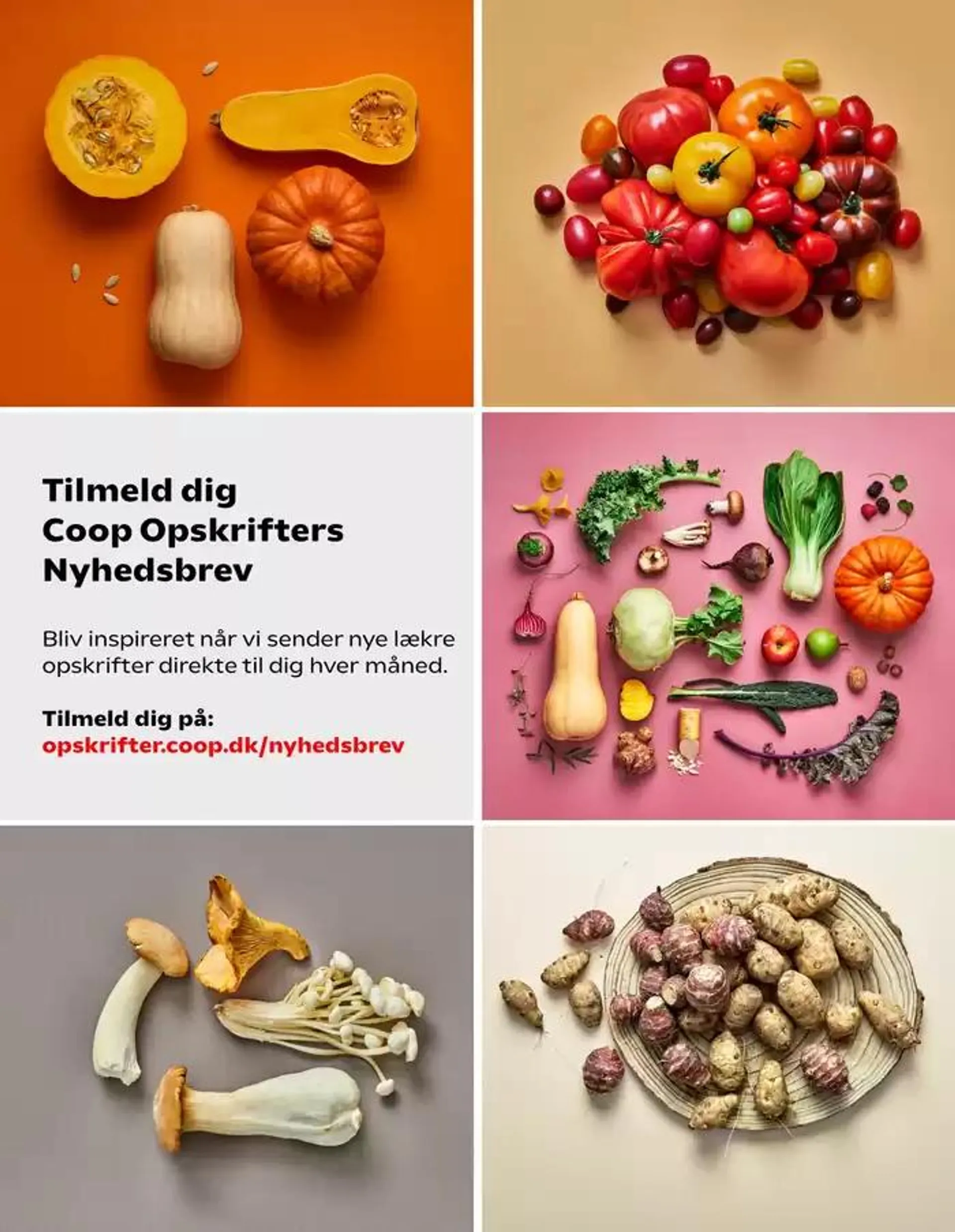 Magiske Priser Gyldig indtil 25. oktober - 31. december 2024 - tilbudsavis side 29