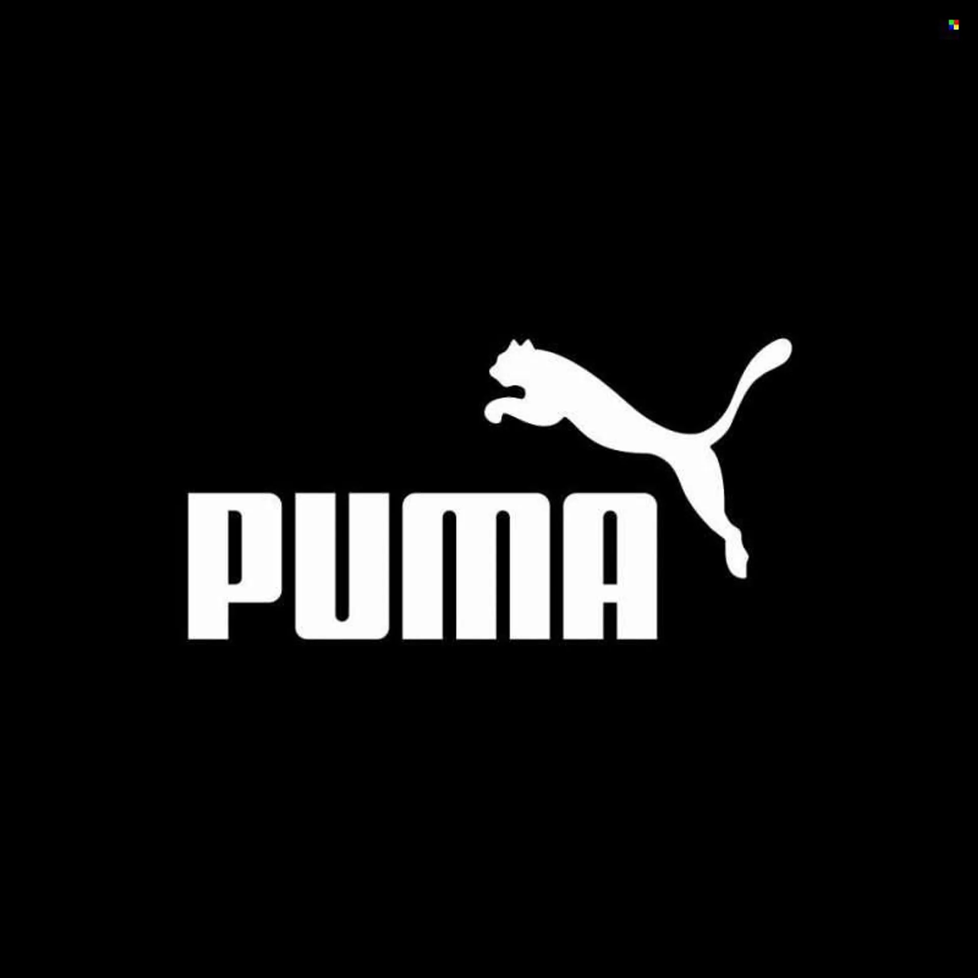 Folleto actual Puma.