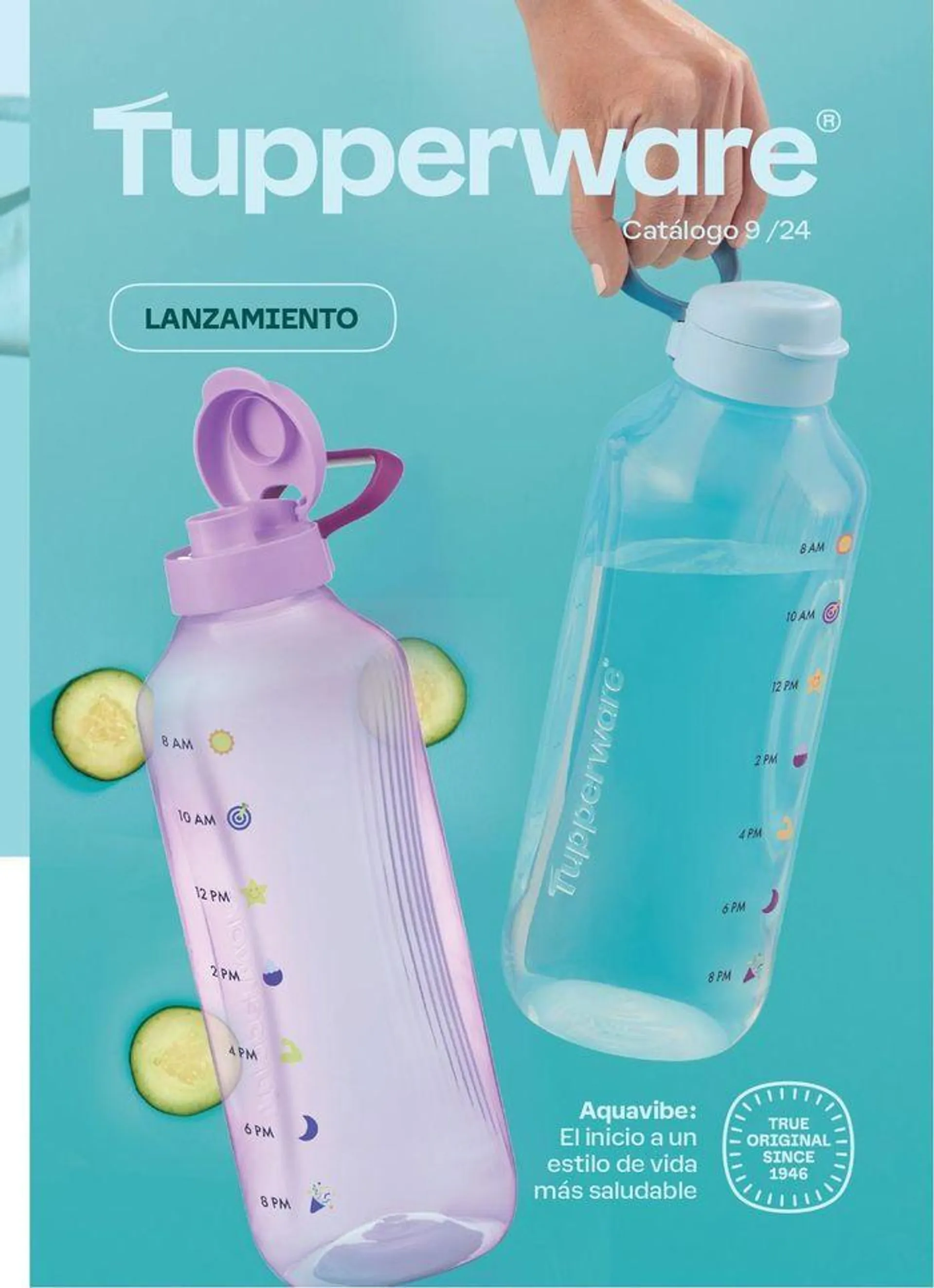 Catálogo Tupperware - 1