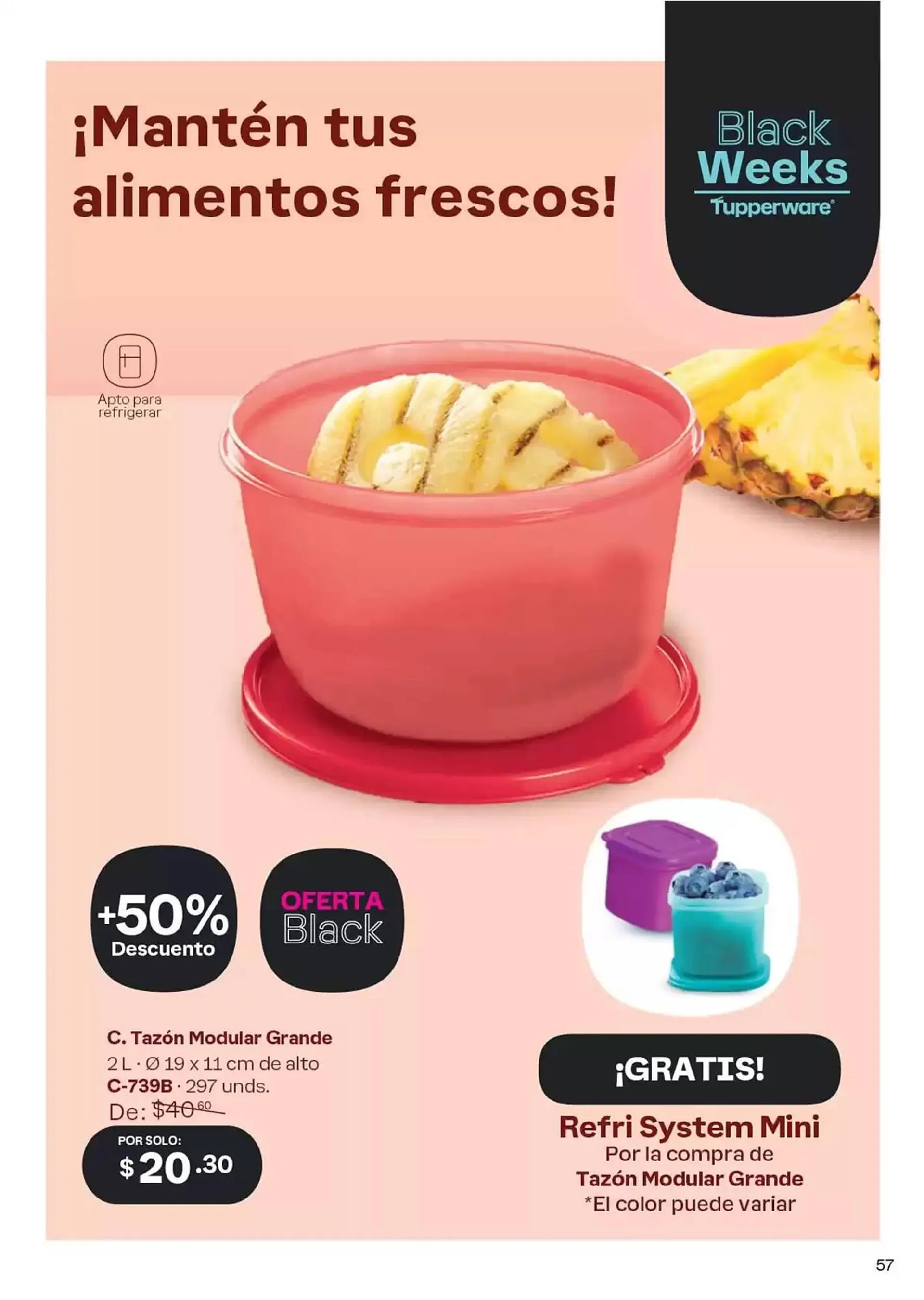 Catalogo de Catálogo Tupperware 4 de octubre al 31 de octubre 2024 - Pag 52